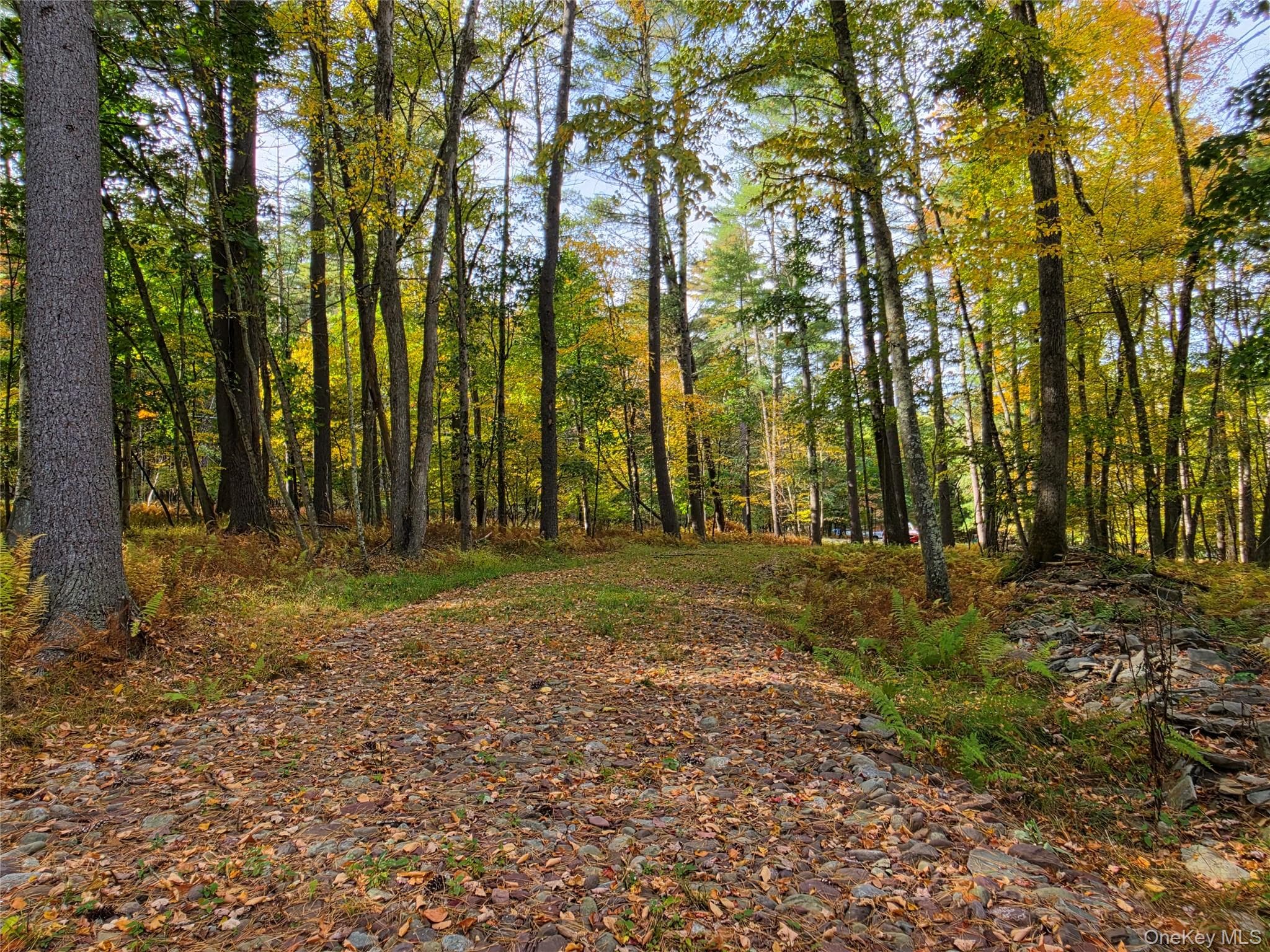 TBD Evergreen Lane thumbnail 20