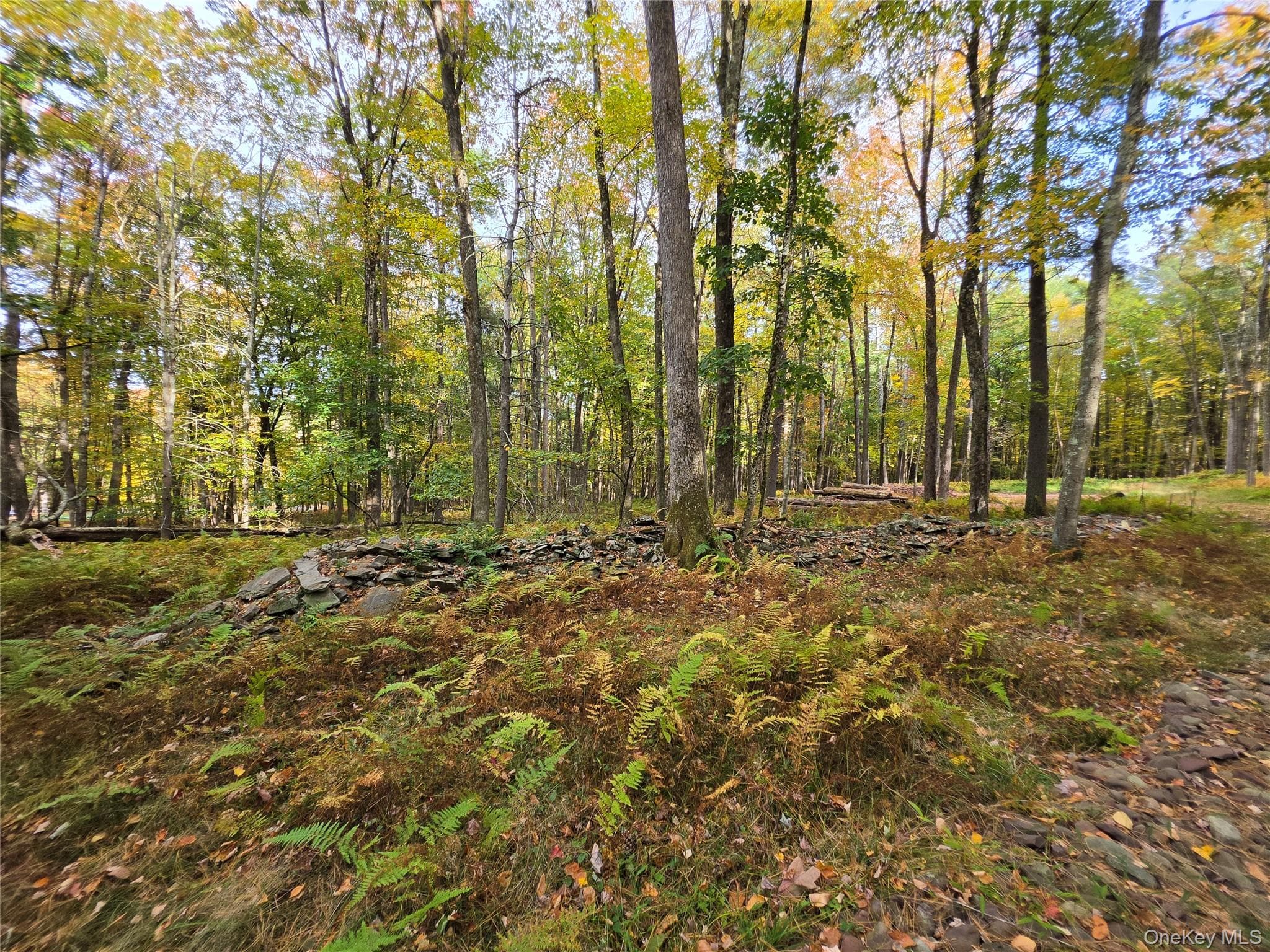 TBD Evergreen Lane thumbnail 32
