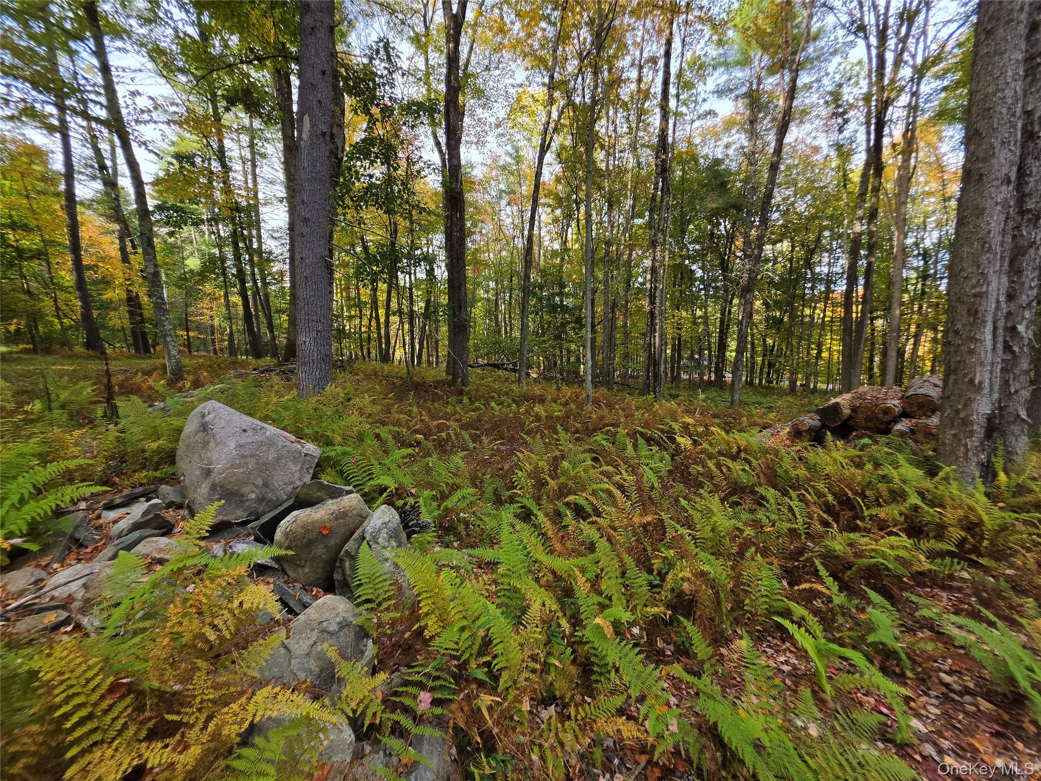 TBD Evergreen Lane thumbnail 10