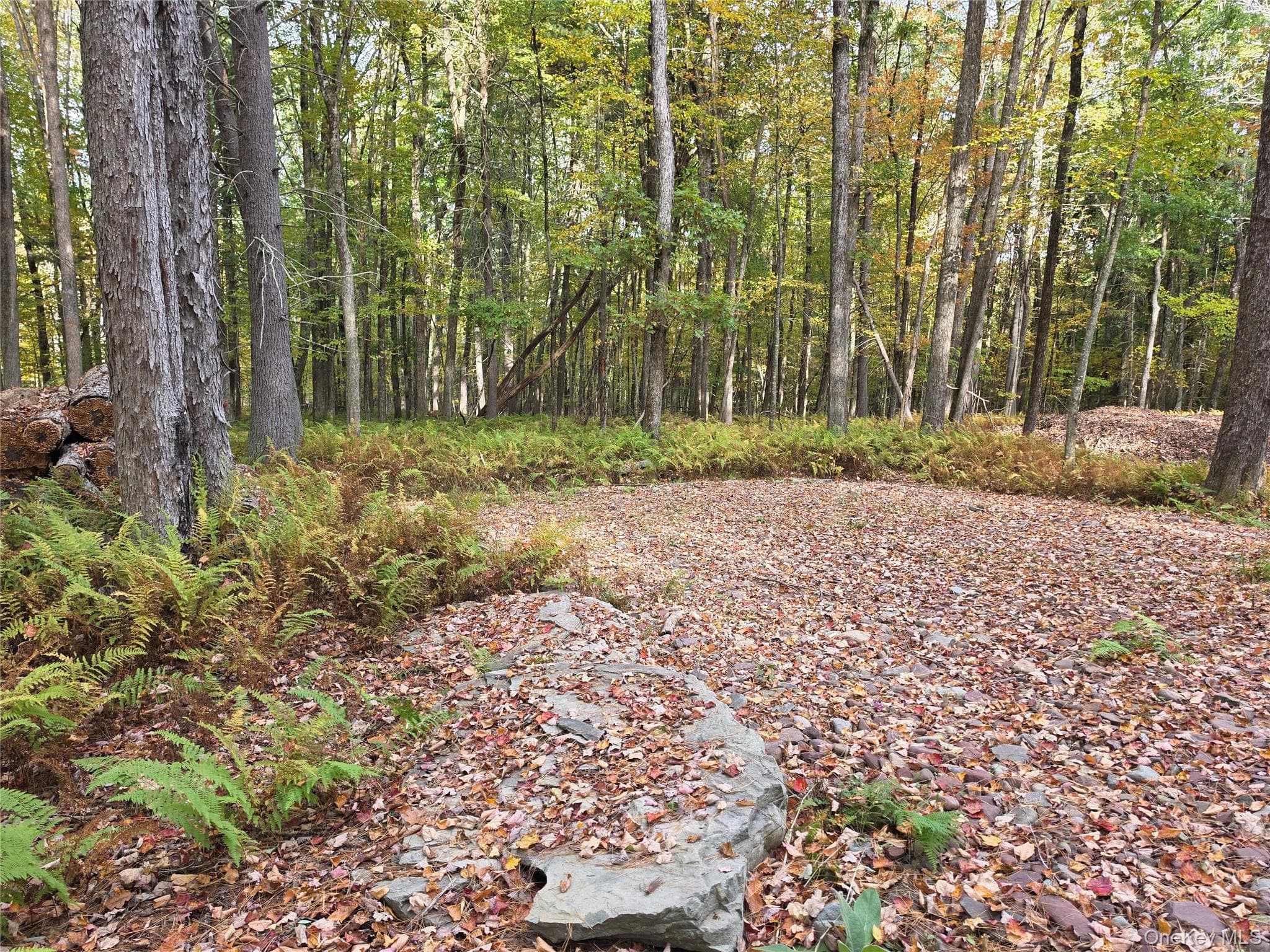 TBD Evergreen Lane thumbnail 6