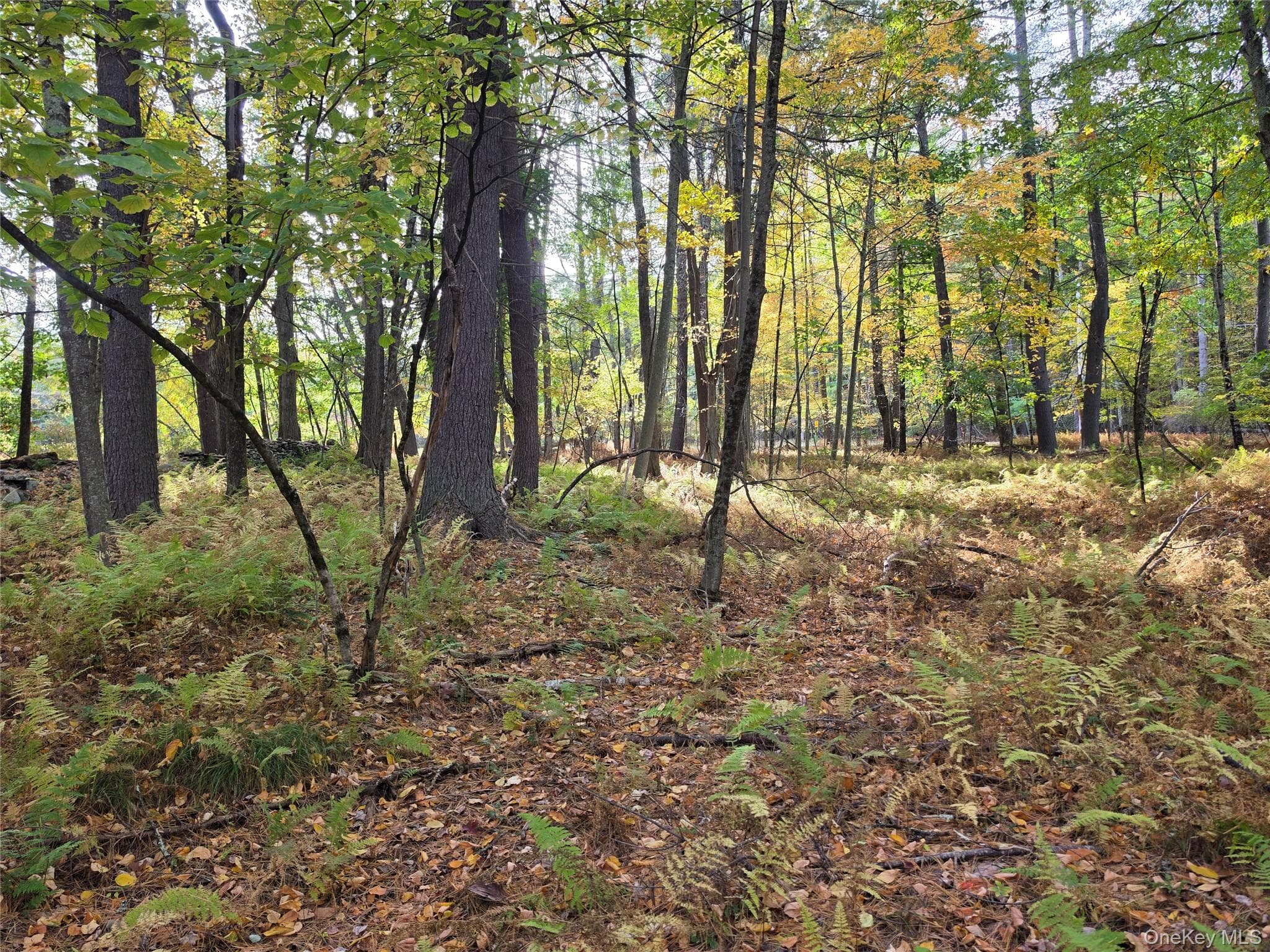 TBD Evergreen Lane thumbnail 21