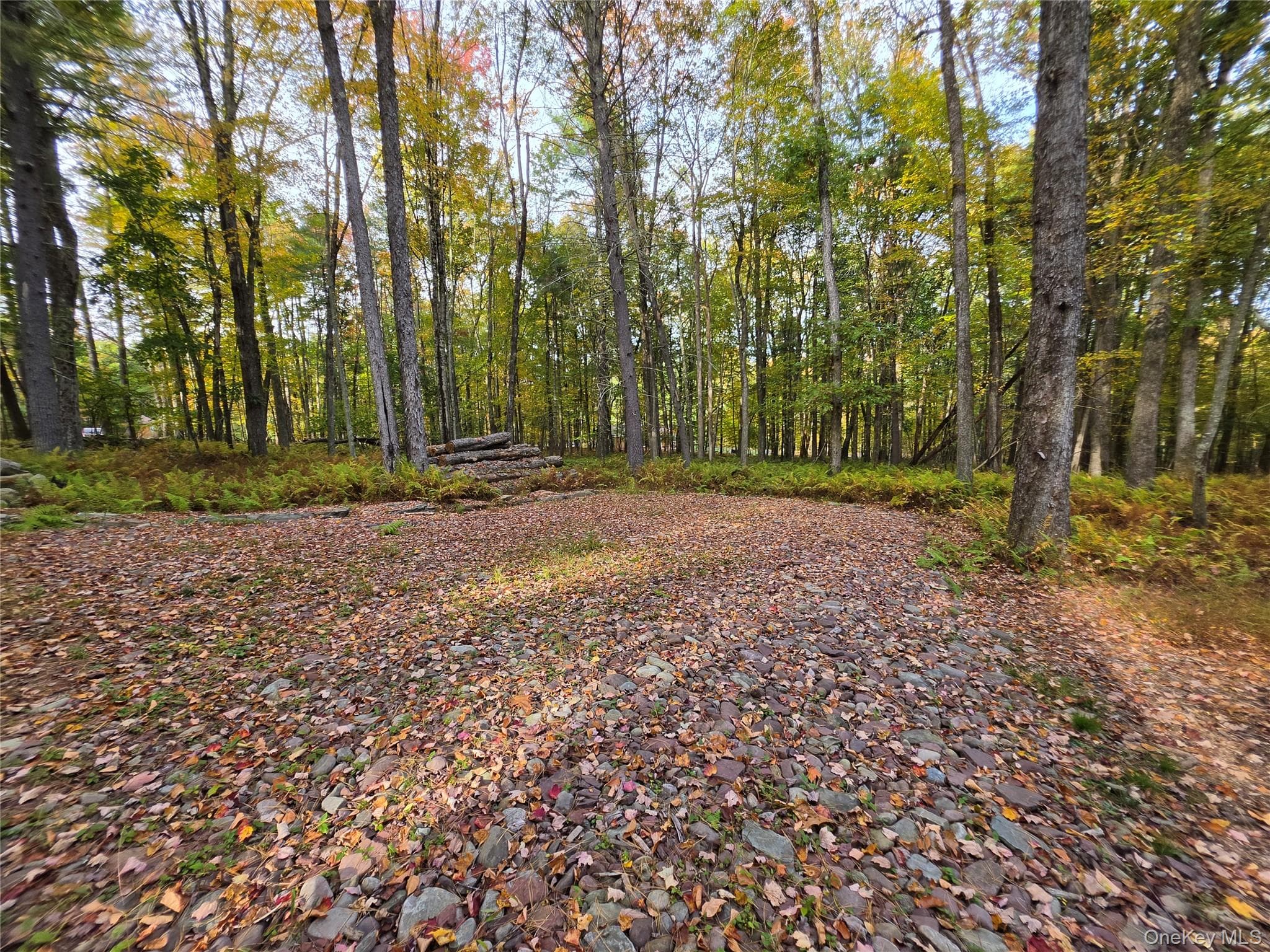 TBD Evergreen Lane thumbnail 7