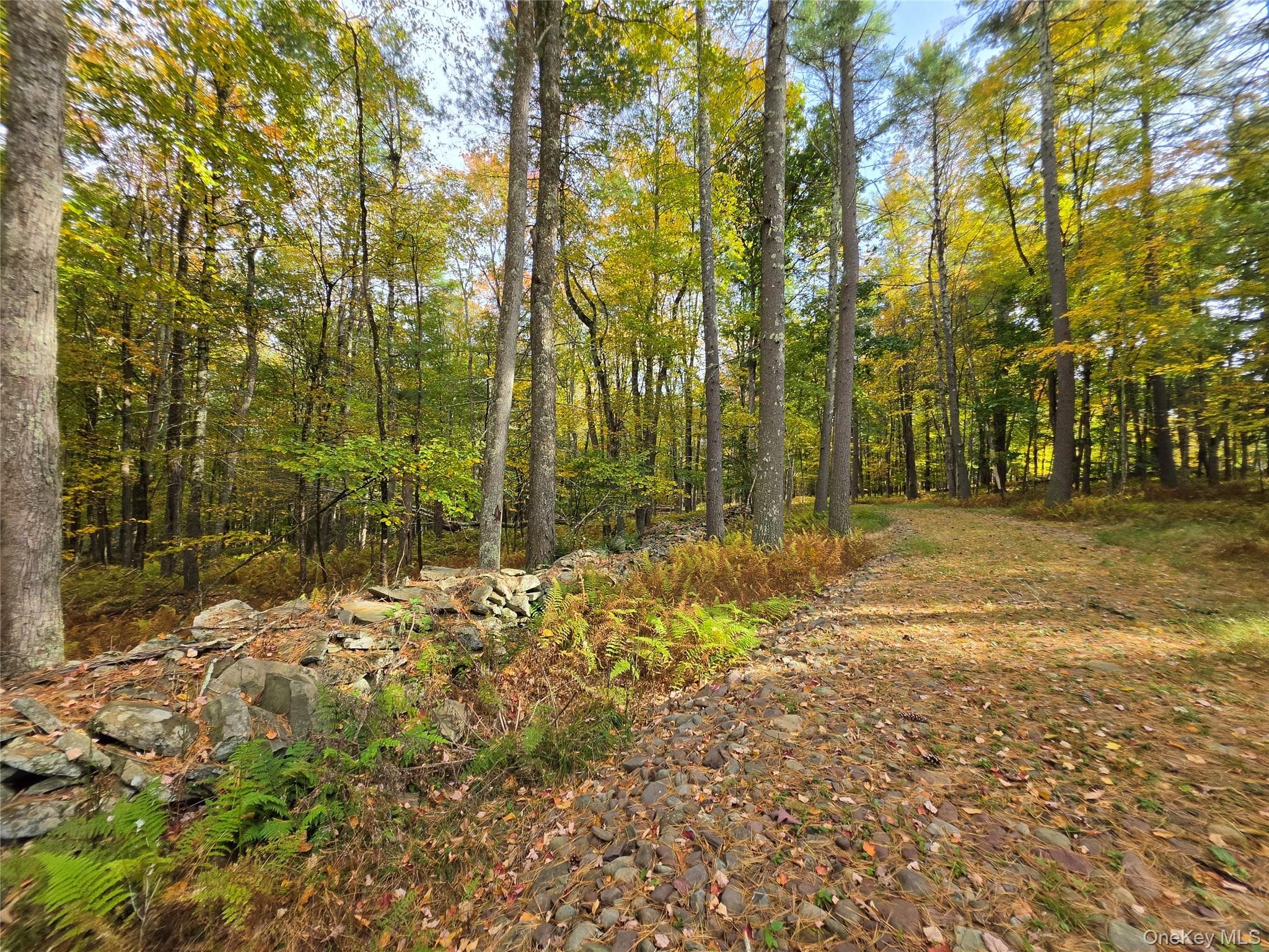 TBD Evergreen Lane thumbnail 2