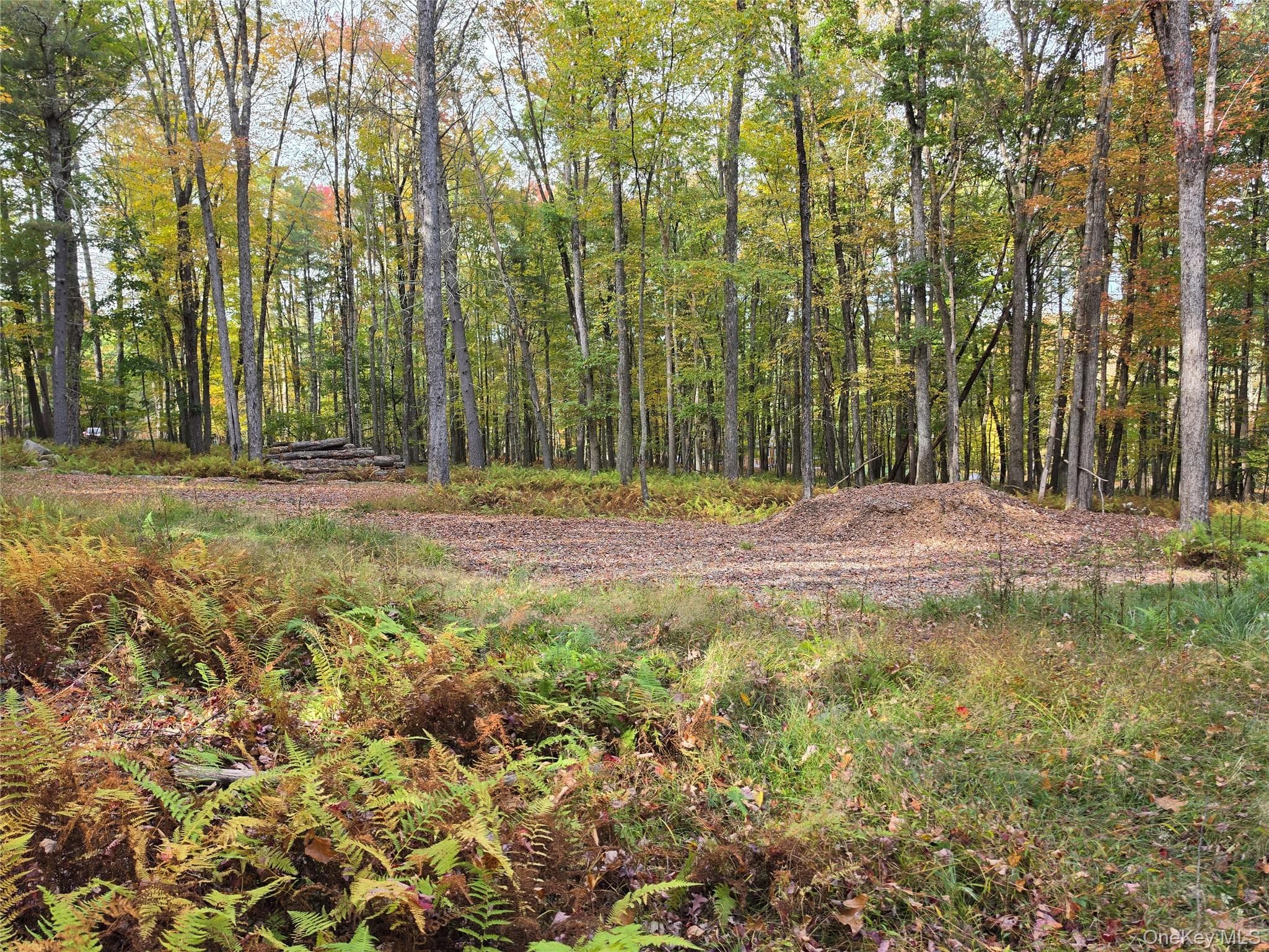 TBD Evergreen Lane thumbnail 5