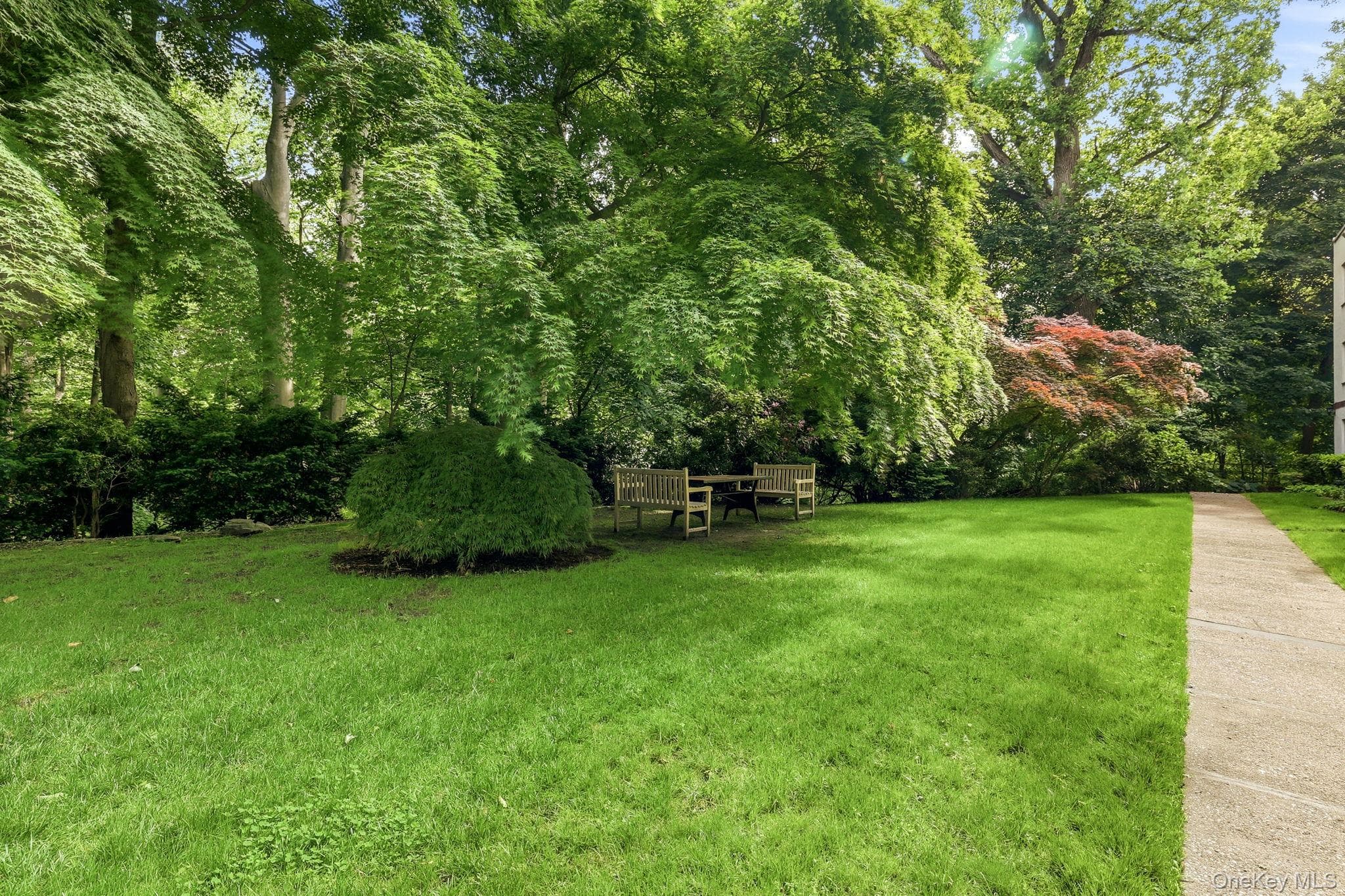 22 Alden Place Unit: 22 thumbnail 15