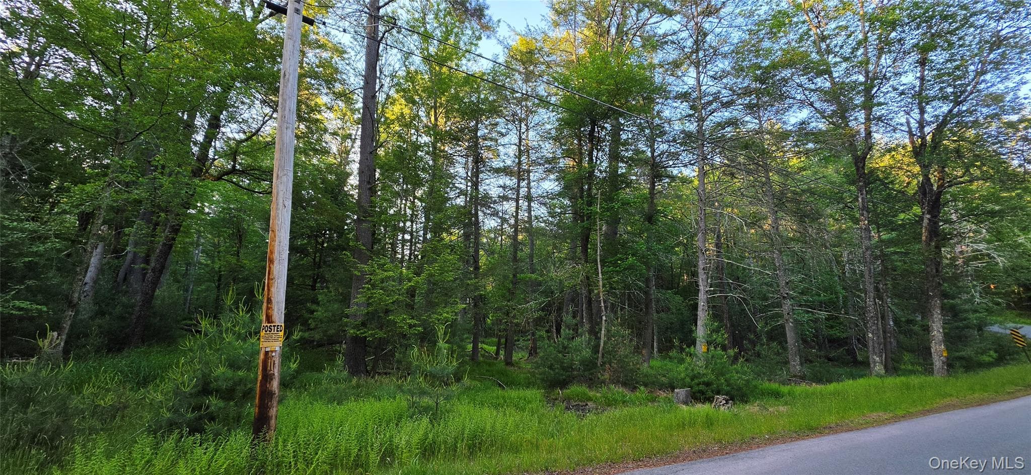 Lot 3.3 Old Tacy Road thumbnail 2