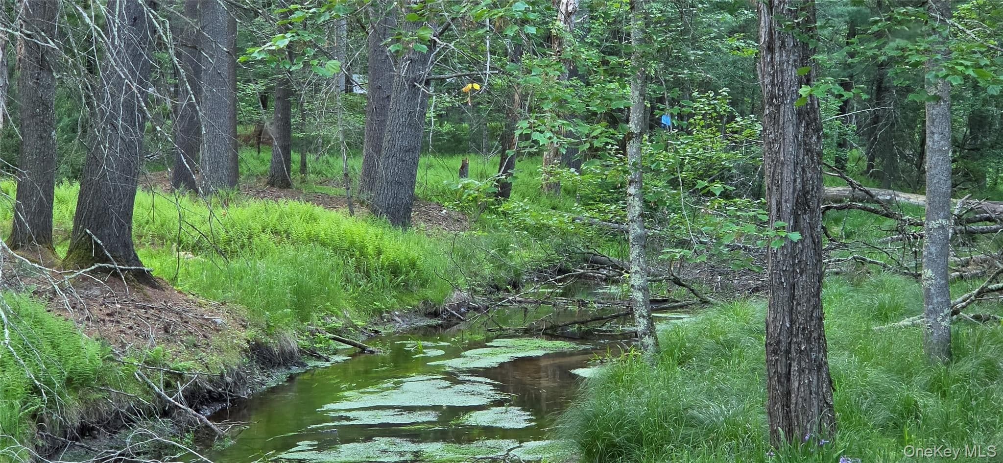 Lot 3.3 Old Tacy Road, Bethel