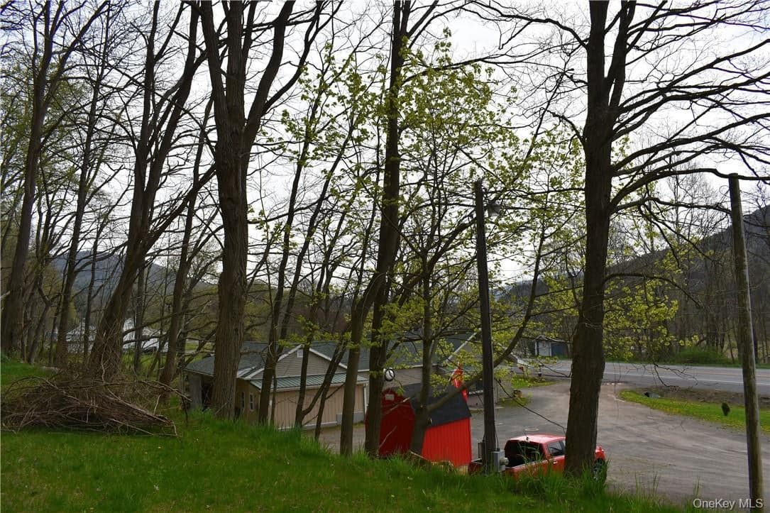 29735 State Highway 10 thumbnail 12