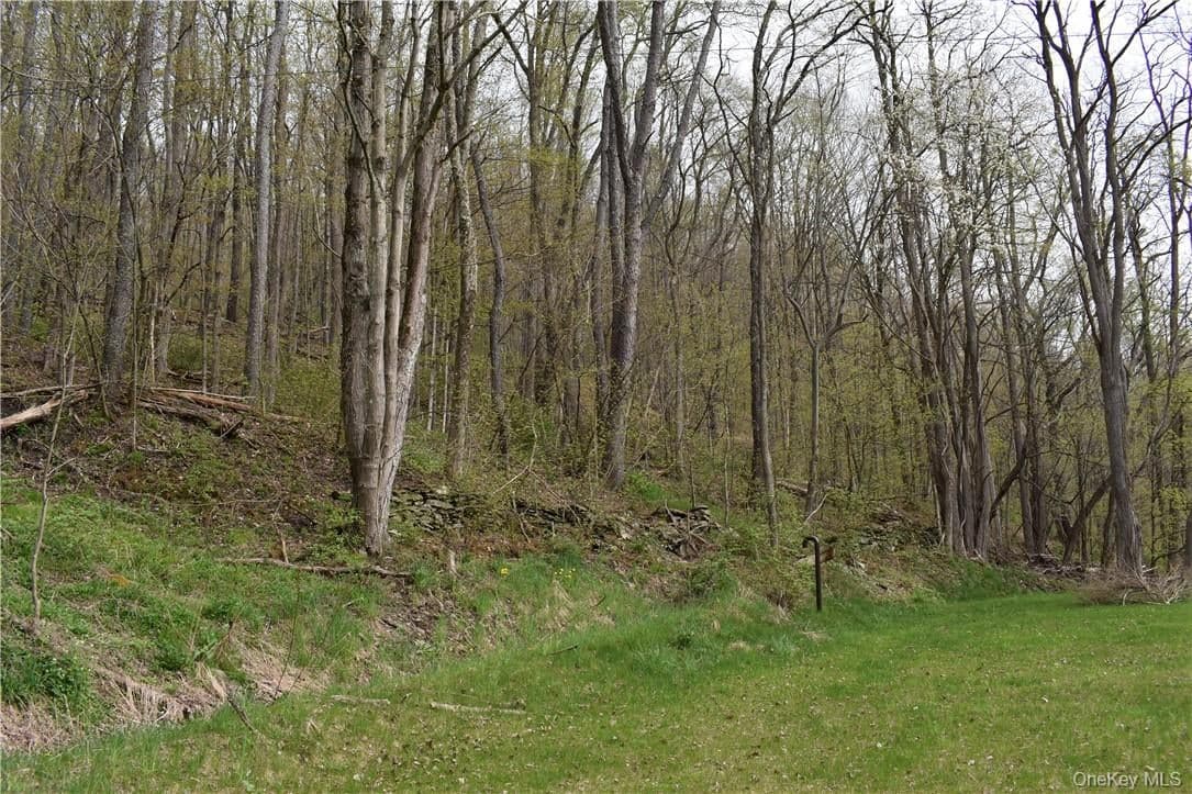 29735 State Highway 10 thumbnail 9