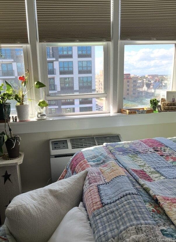 210 E Broadway Unit: 6J thumbnail 13