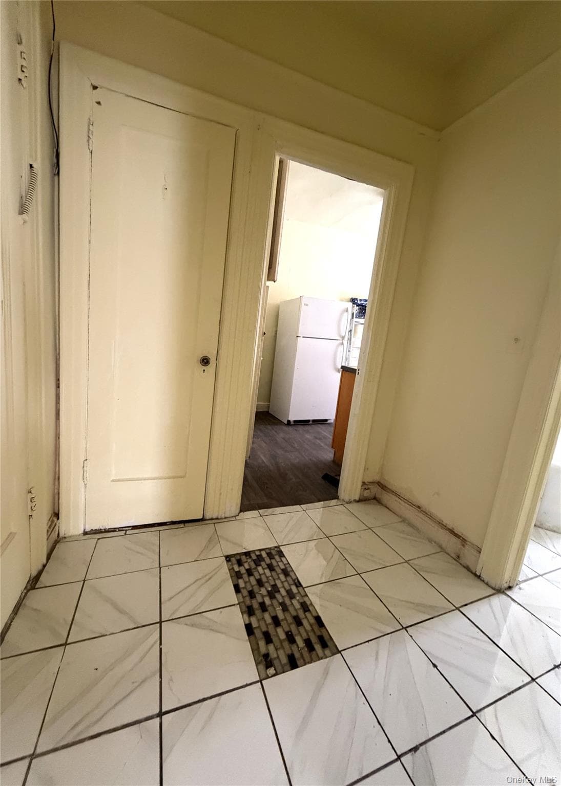 719 E 242nd Street thumbnail 5