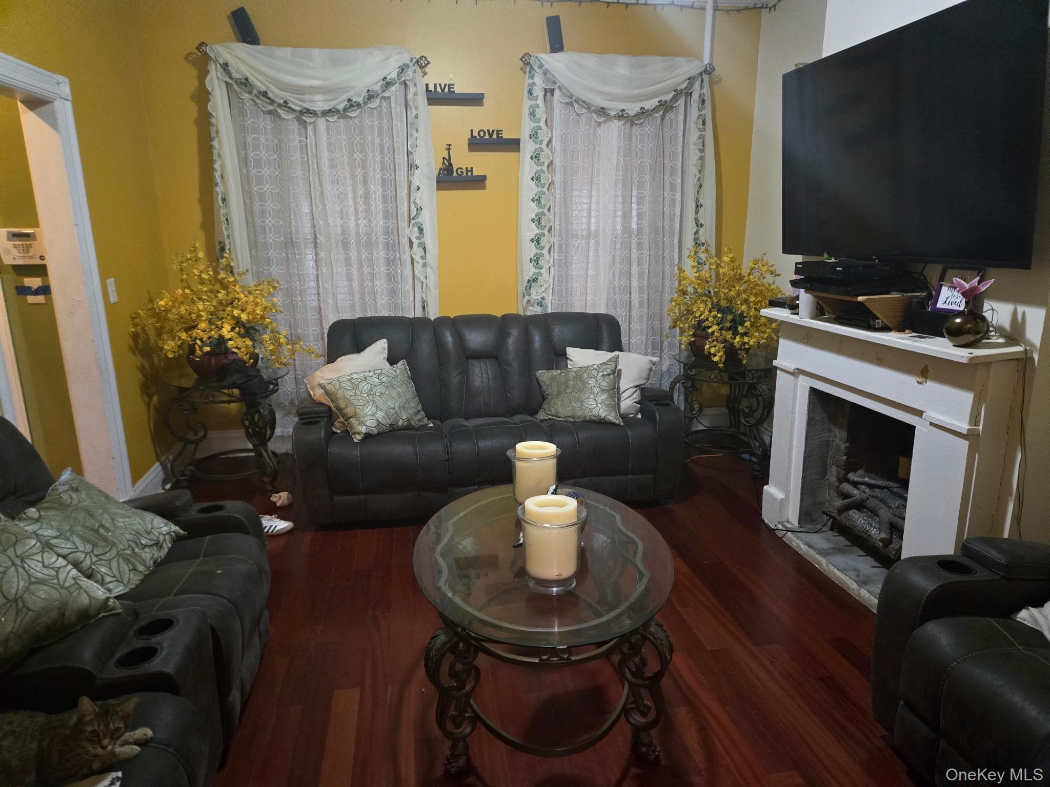 537 Jerome Street thumbnail 4