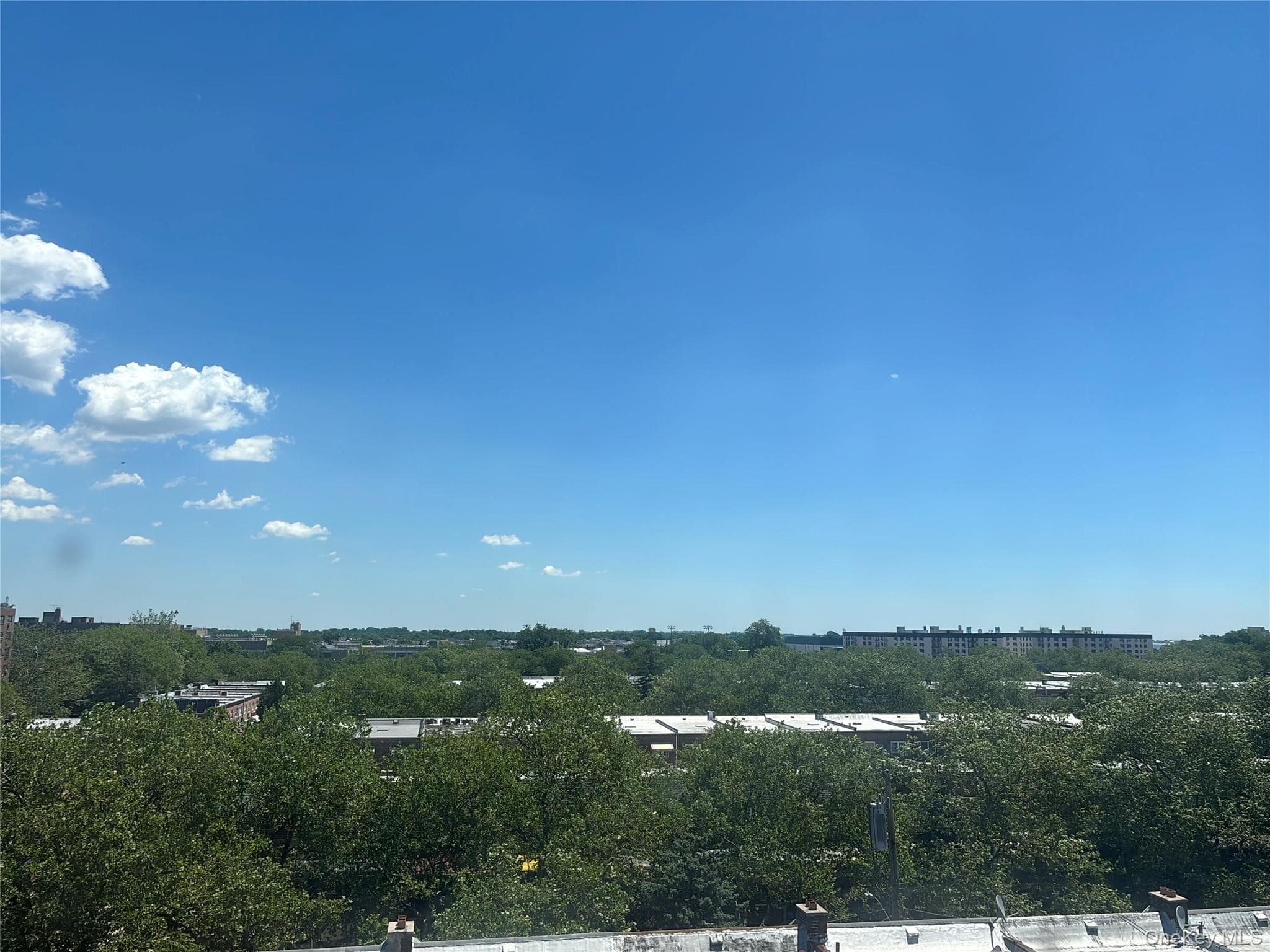 3901 Nostrand Avenue Unit: 6L thumbnail 9