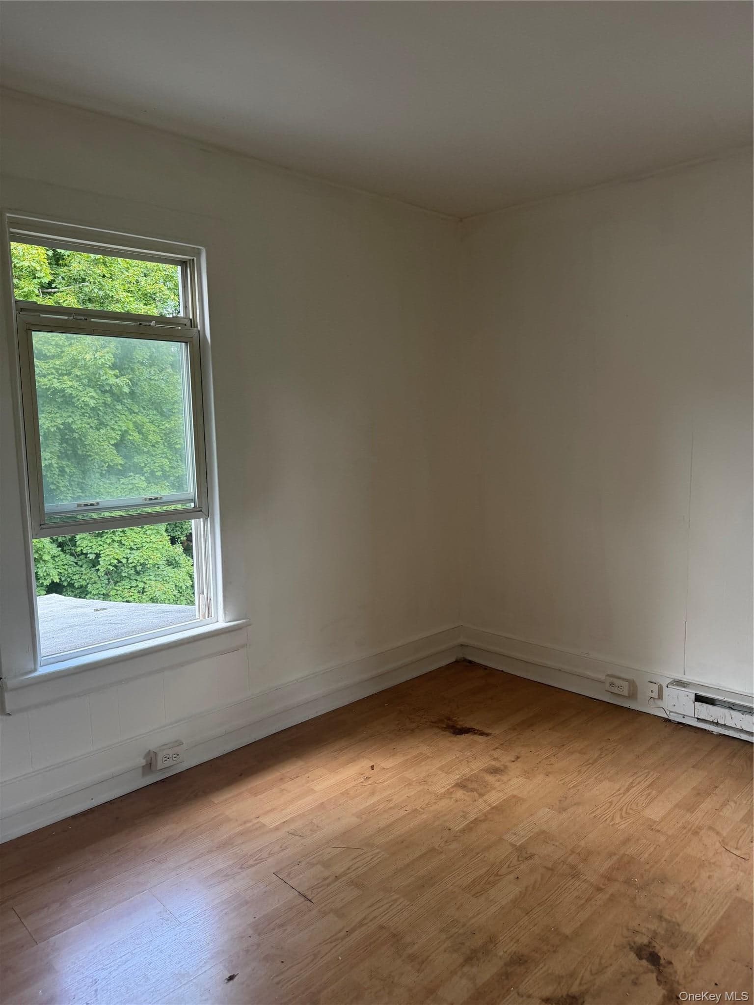 98 Oak Street Unit: 96-98 thumbnail 13