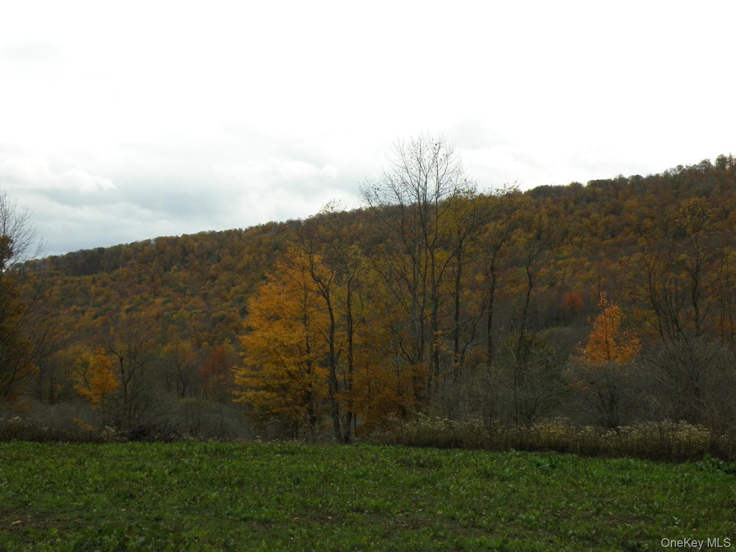 Gregory Hollow Road thumbnail 3
