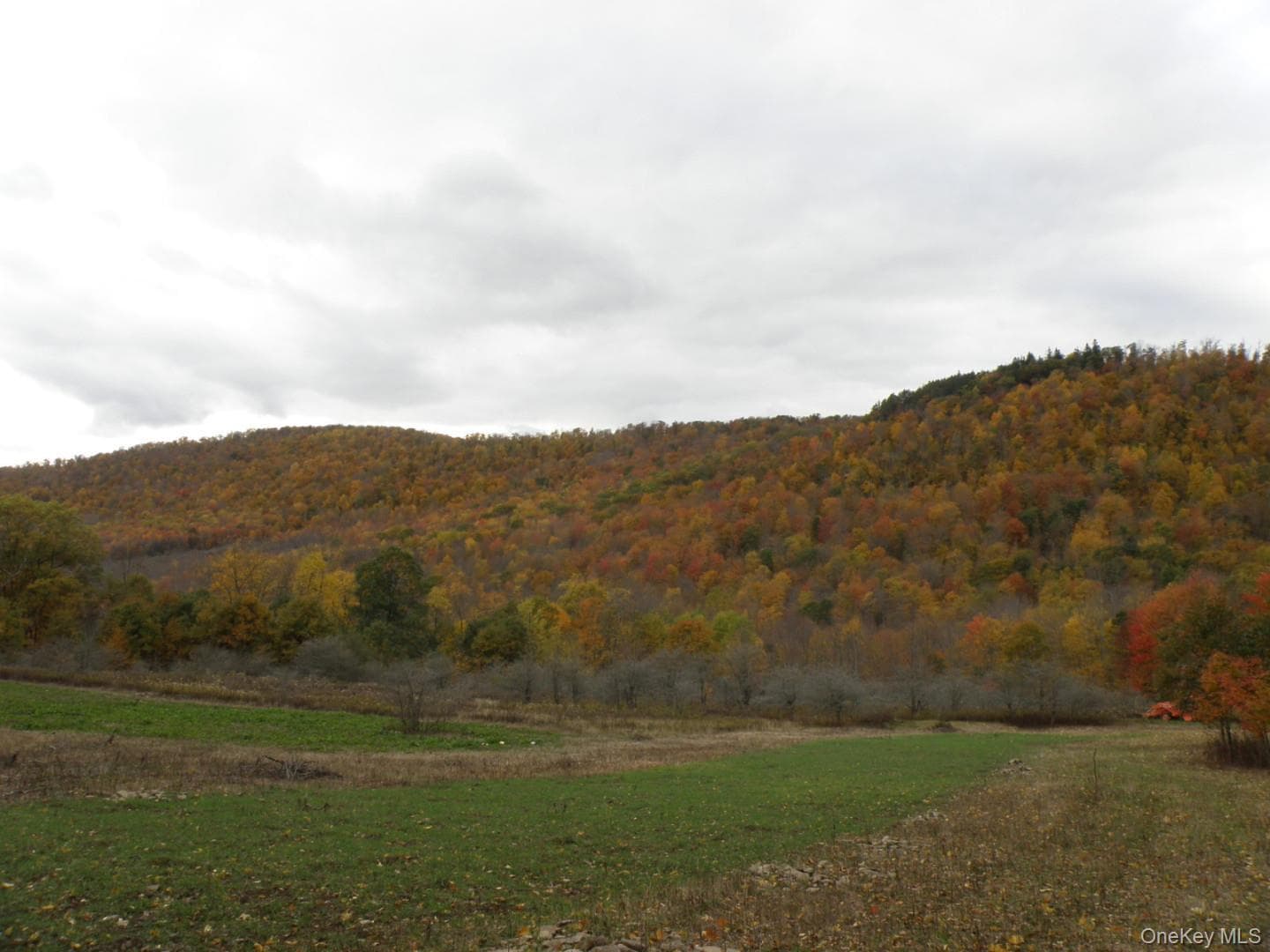 Gregory Hollow Road photo 1