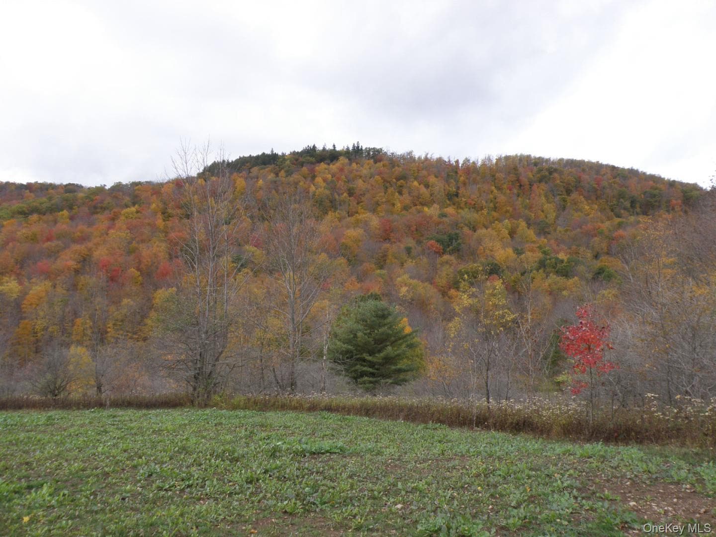 Gregory Hollow Road thumbnail 2