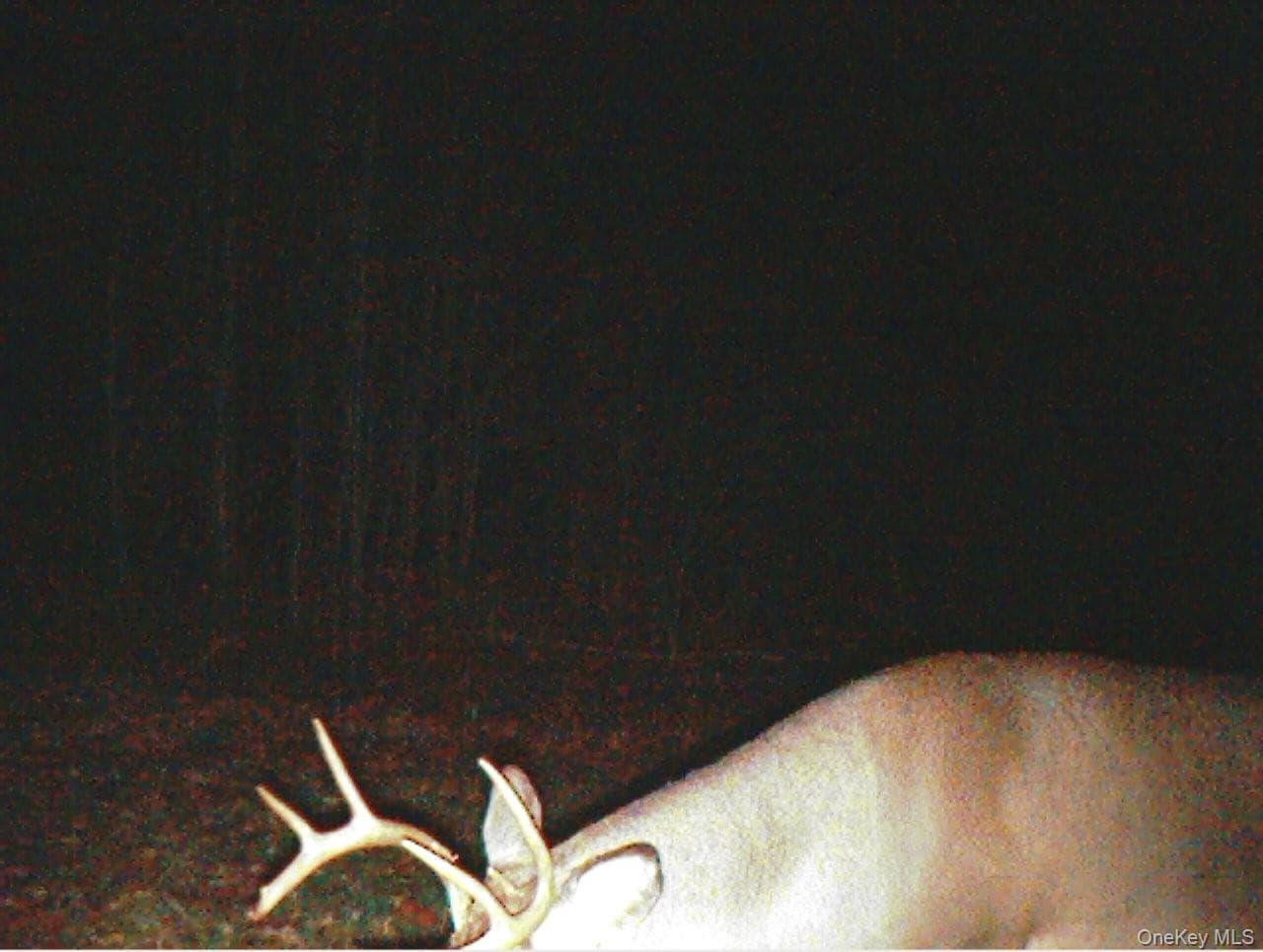 Gregory Hollow Road thumbnail 20