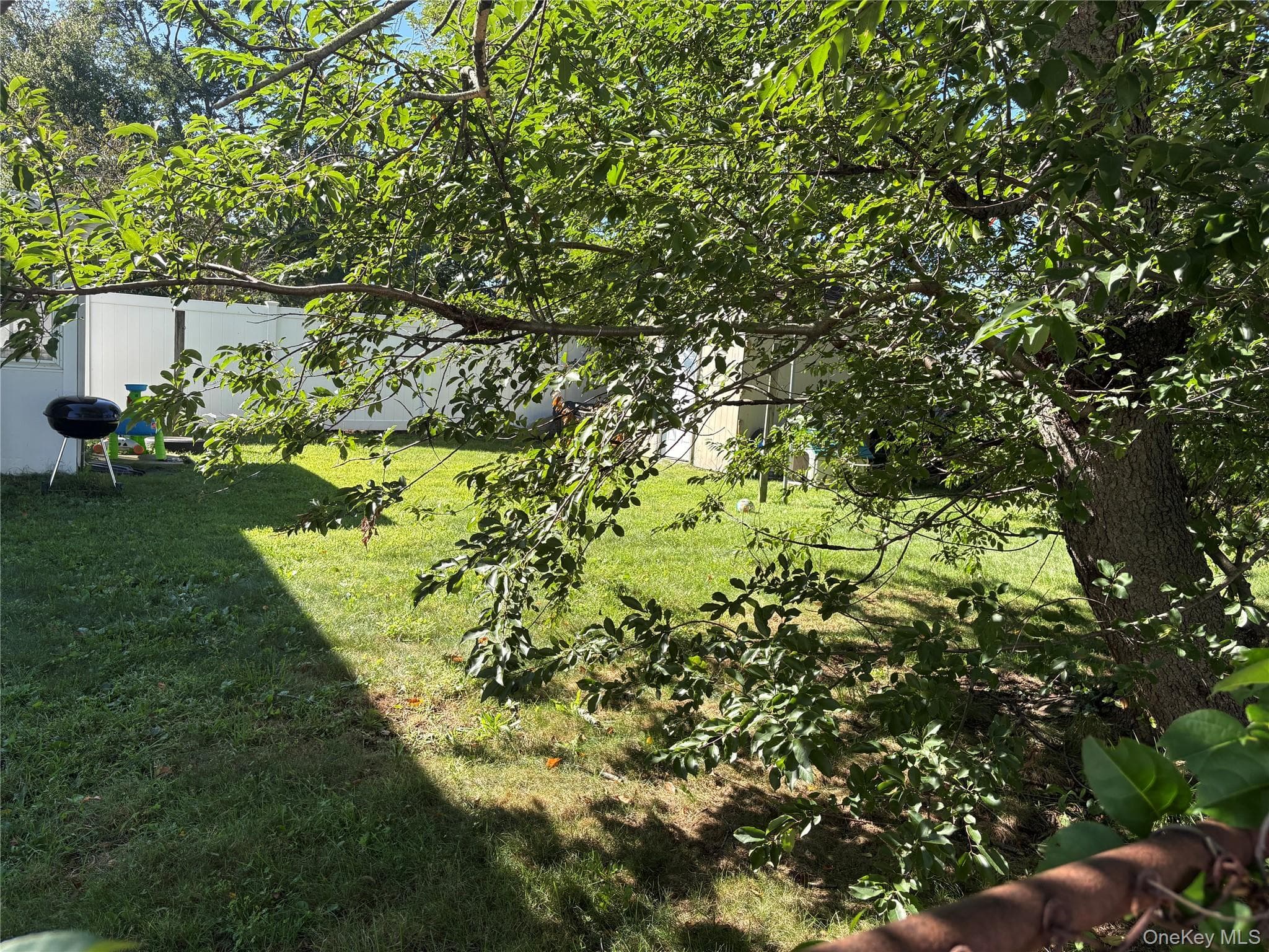 59 Williams Avenue thumbnail 36