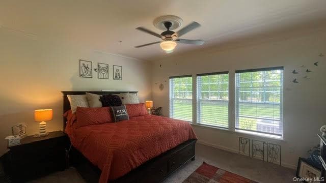 40 Greentree Court thumbnail 16