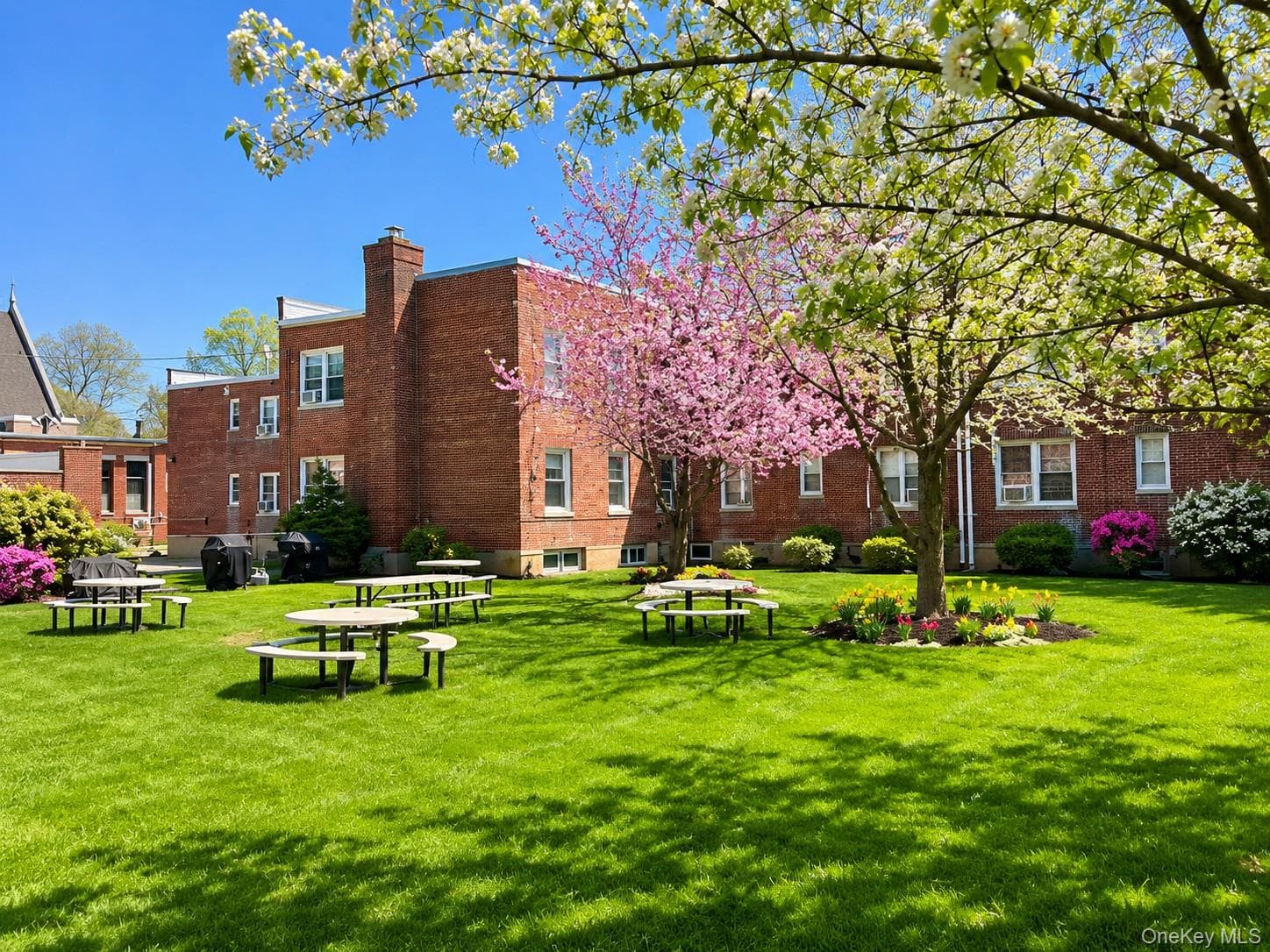 209-43 35 Avenue Unit: A thumbnail 12