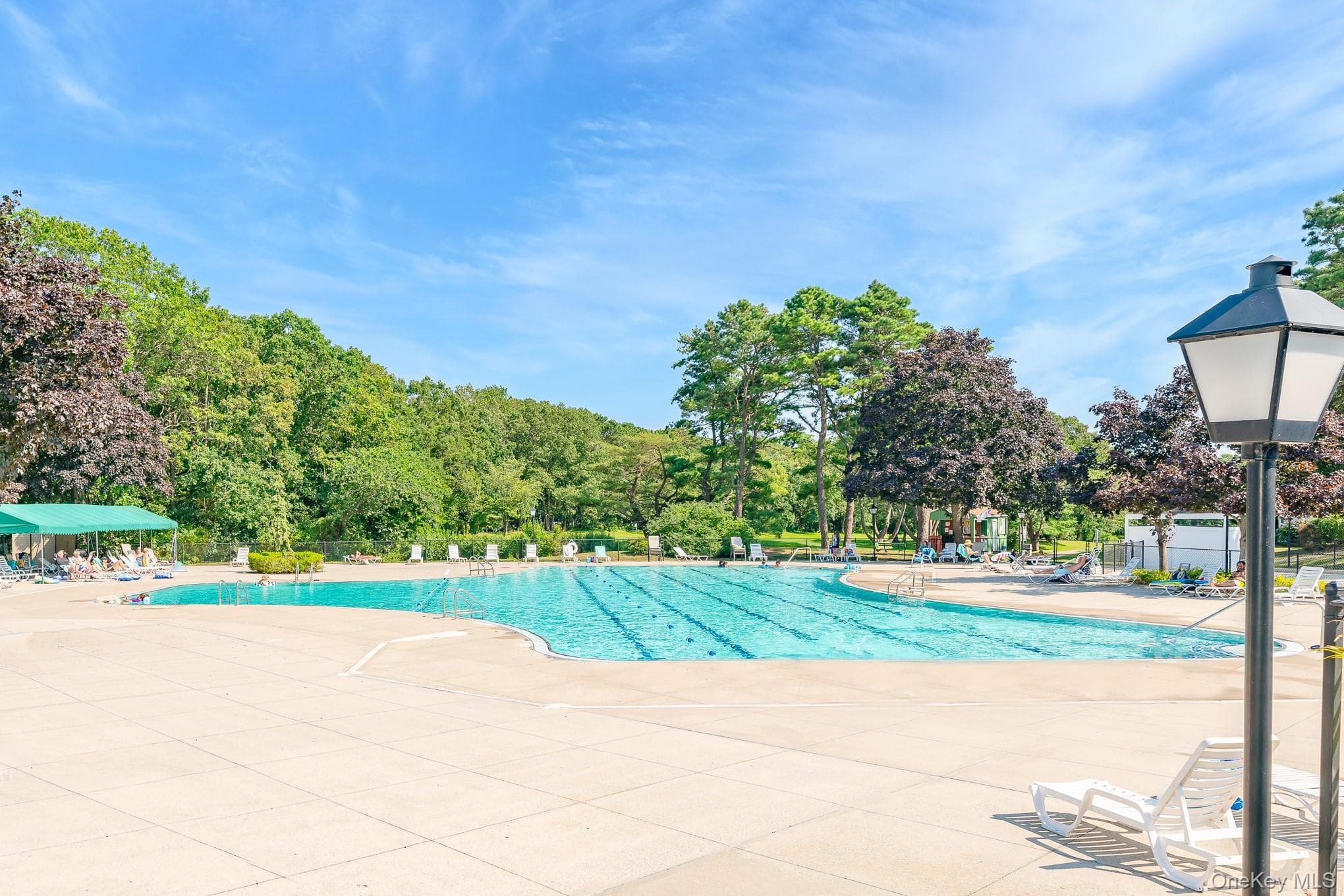 147 Birchwood Road Unit: 147 thumbnail 10