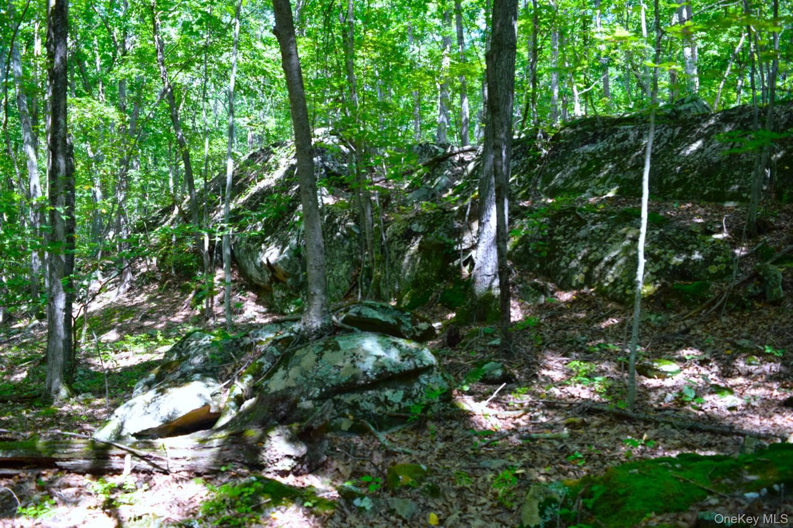 33 Old East Road, Wallkill
