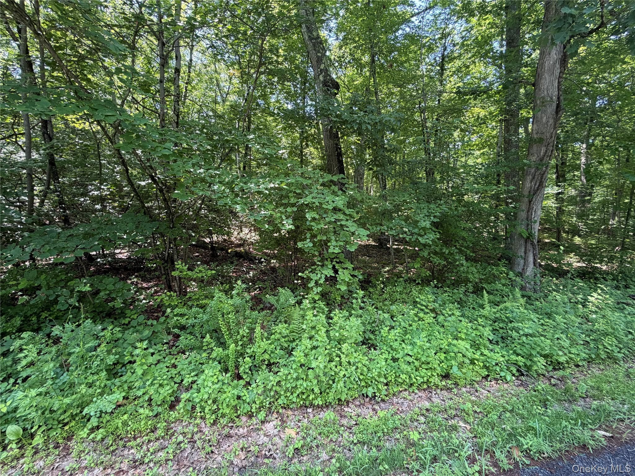 599 E Mountain Road thumbnail 9