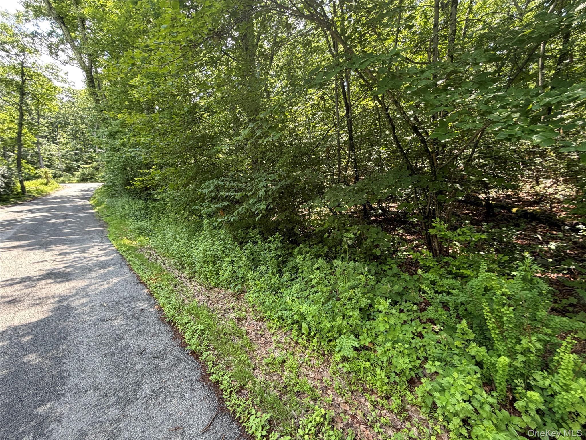 599 E Mountain Road thumbnail 8