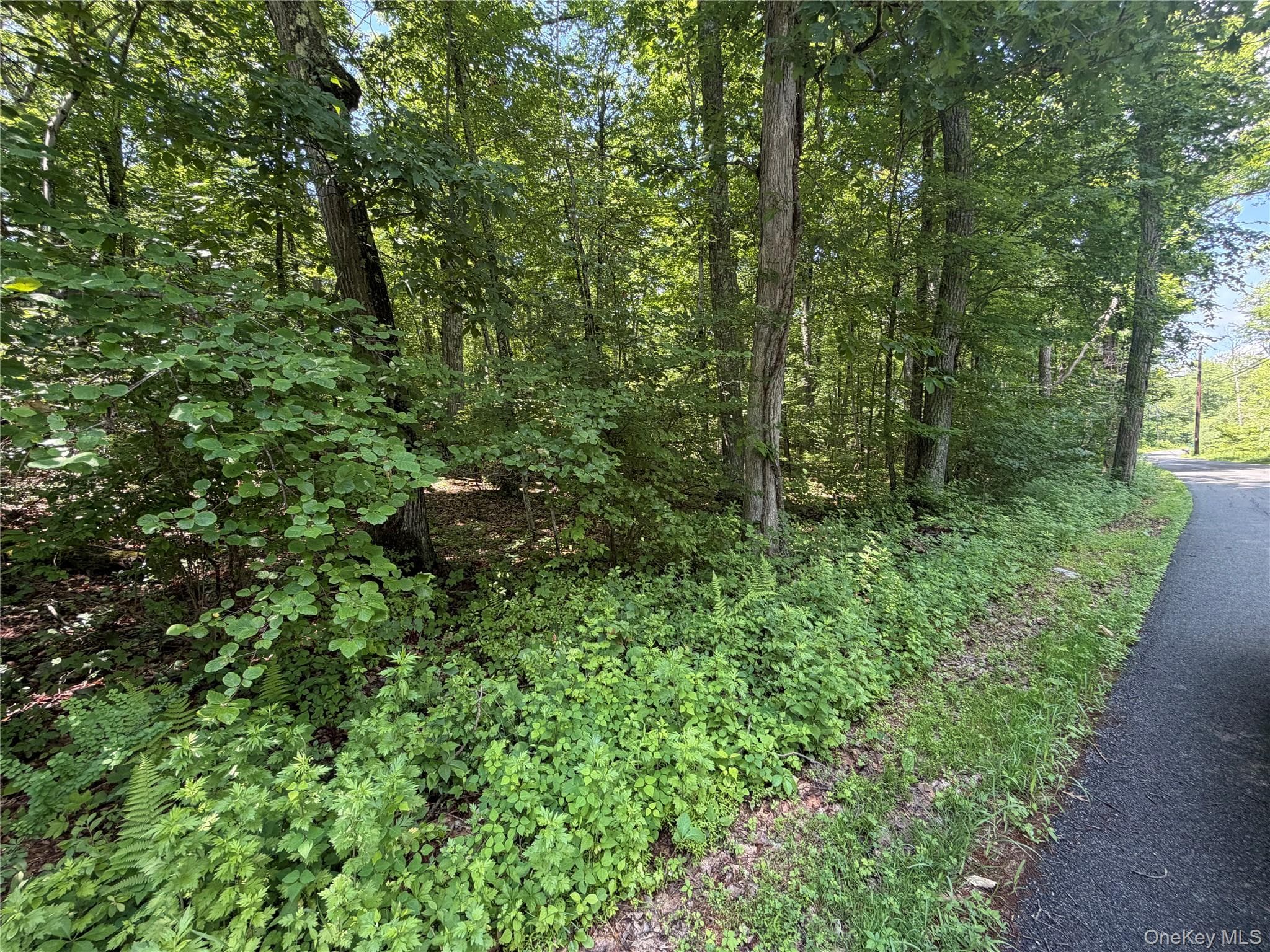 599 E Mountain Road thumbnail 7