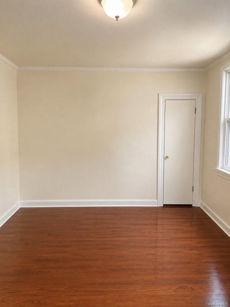 834 E 229th Street thumbnail 13