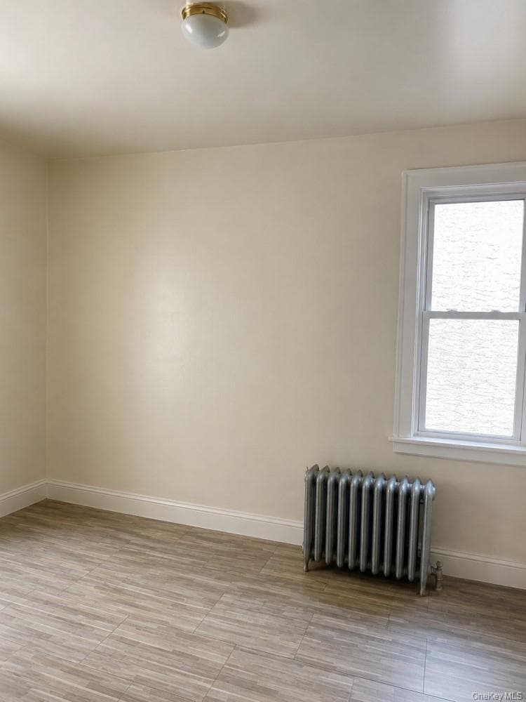 834 E 229th Street thumbnail 19