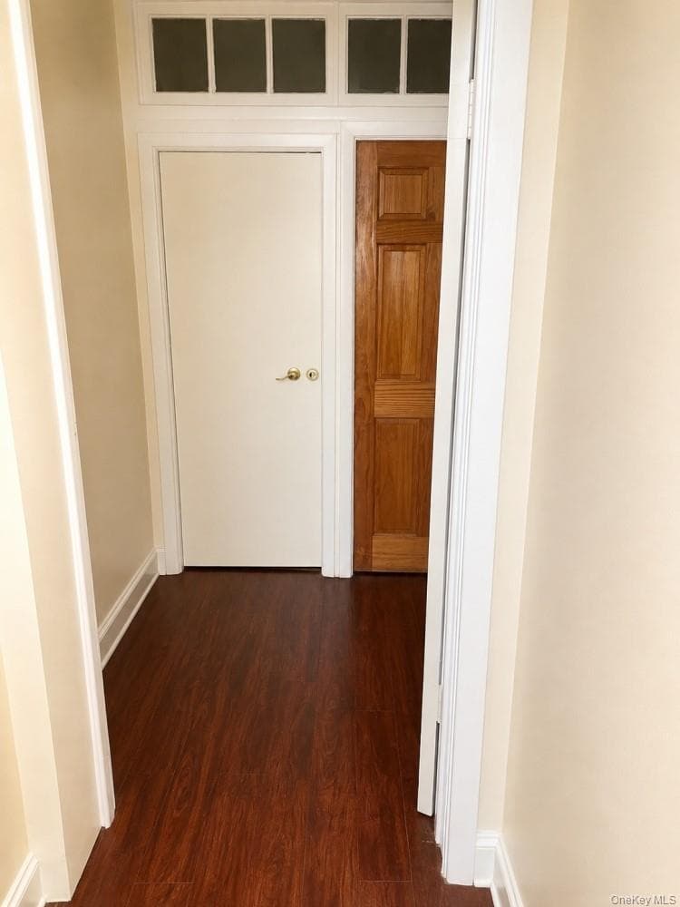 834 E 229th Street thumbnail 15