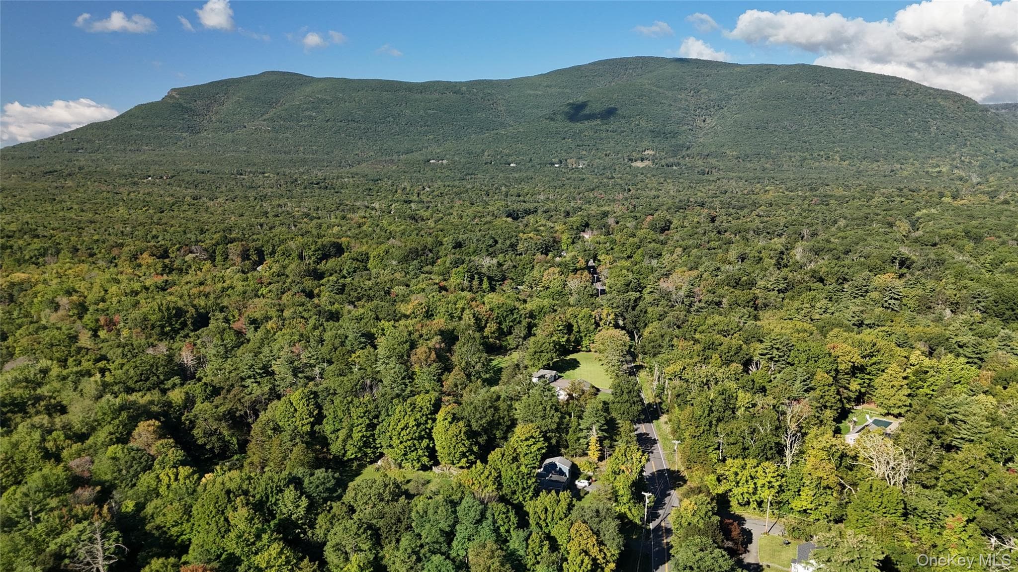 146 W Saugerties Road thumbnail 4