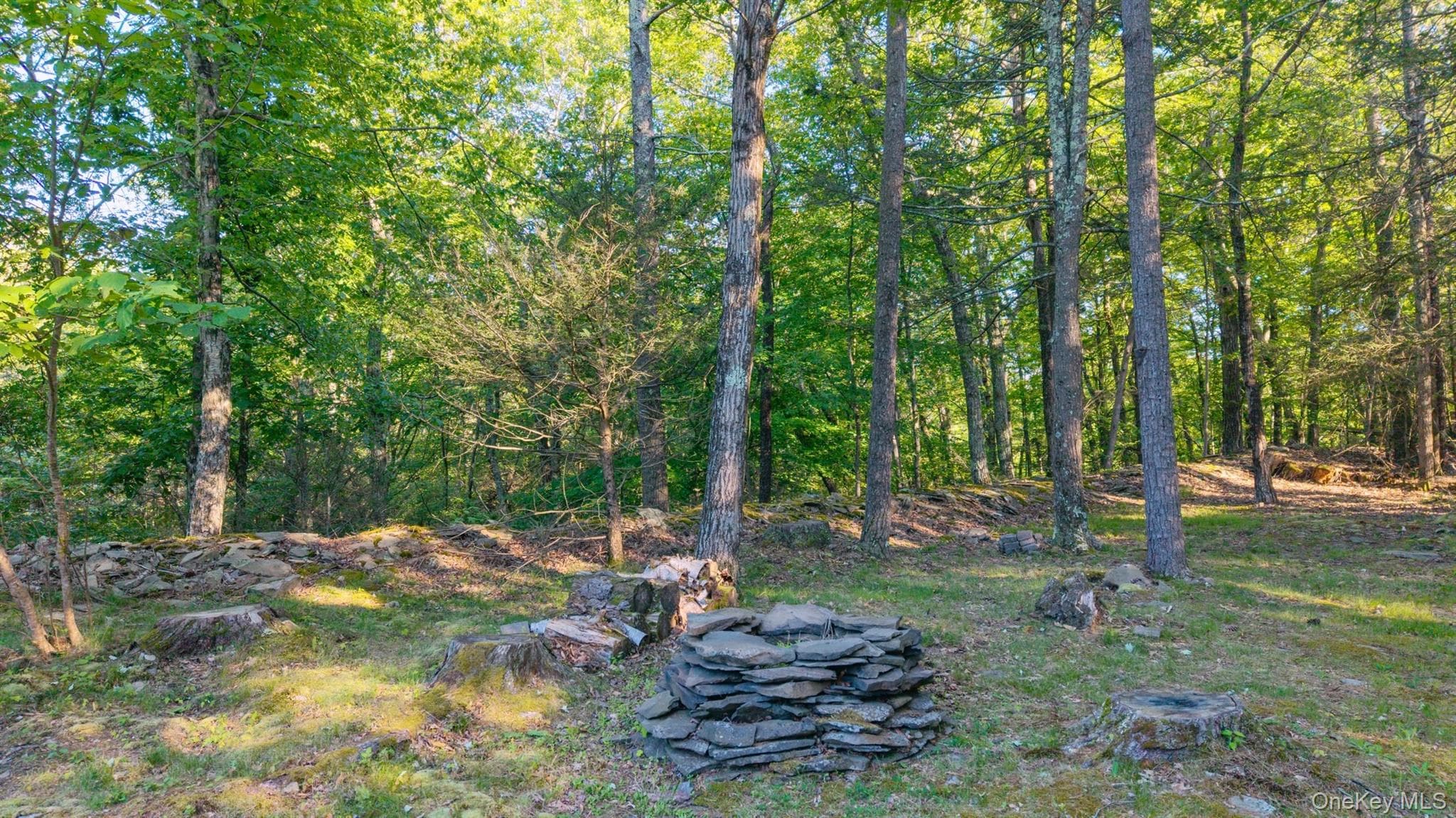 33 Cranberry Lane thumbnail 45