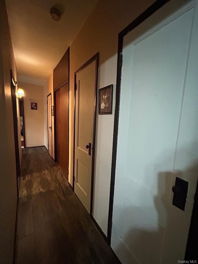 73-58 71st Street thumbnail 23