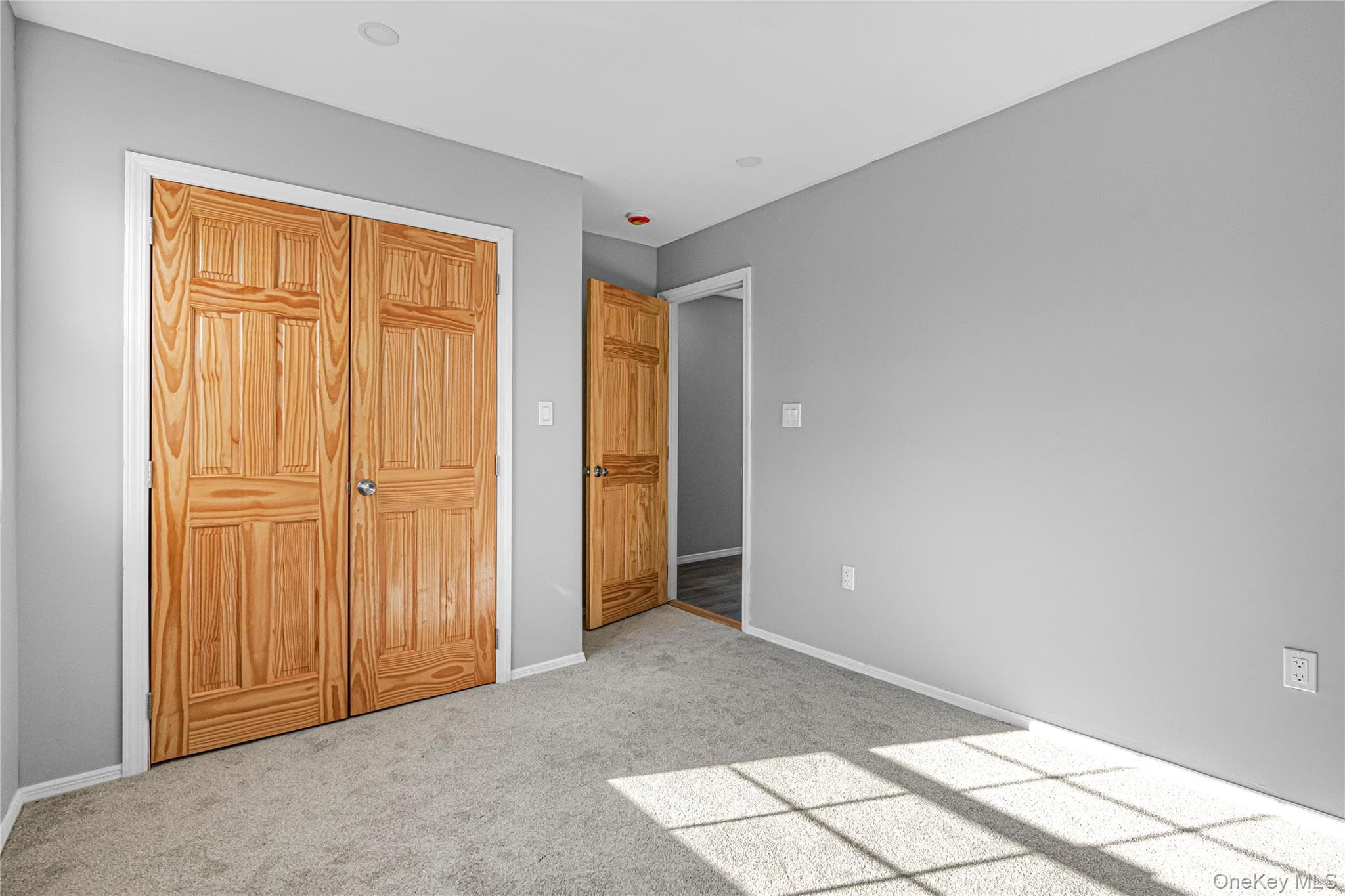 1161 E 88th Street thumbnail 18
