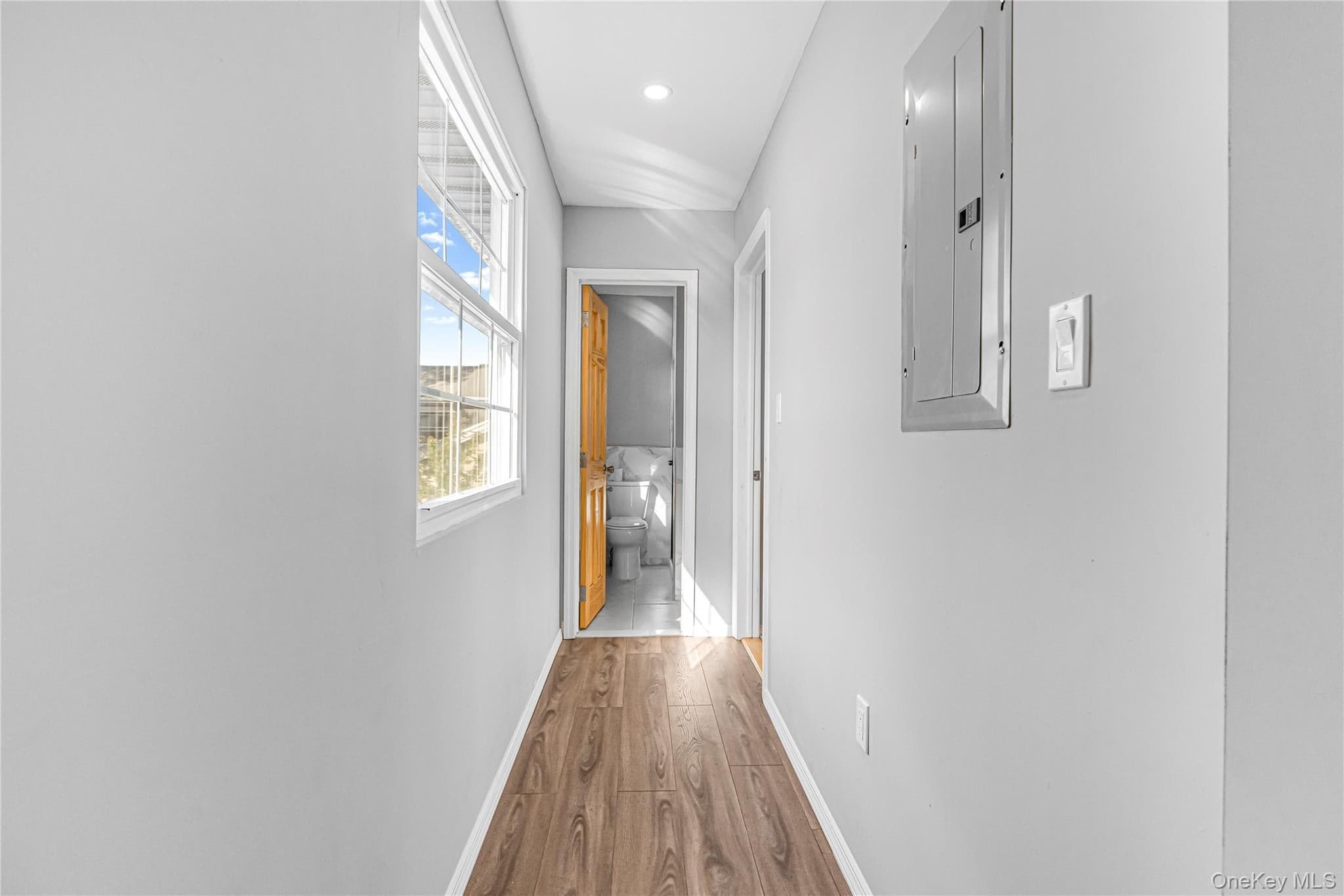1161 E 88th Street thumbnail 20