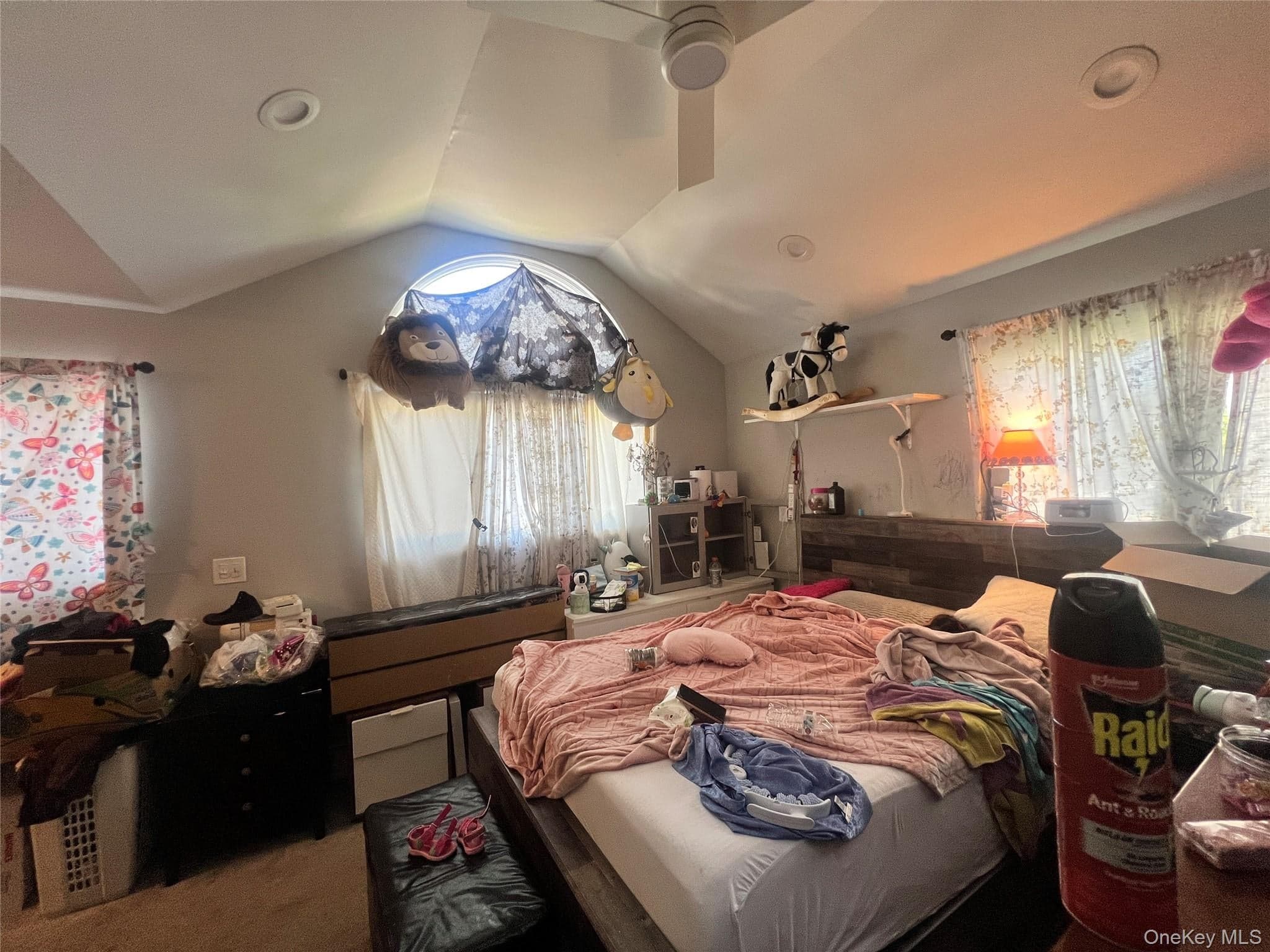 59 Whittier Drive thumbnail 18