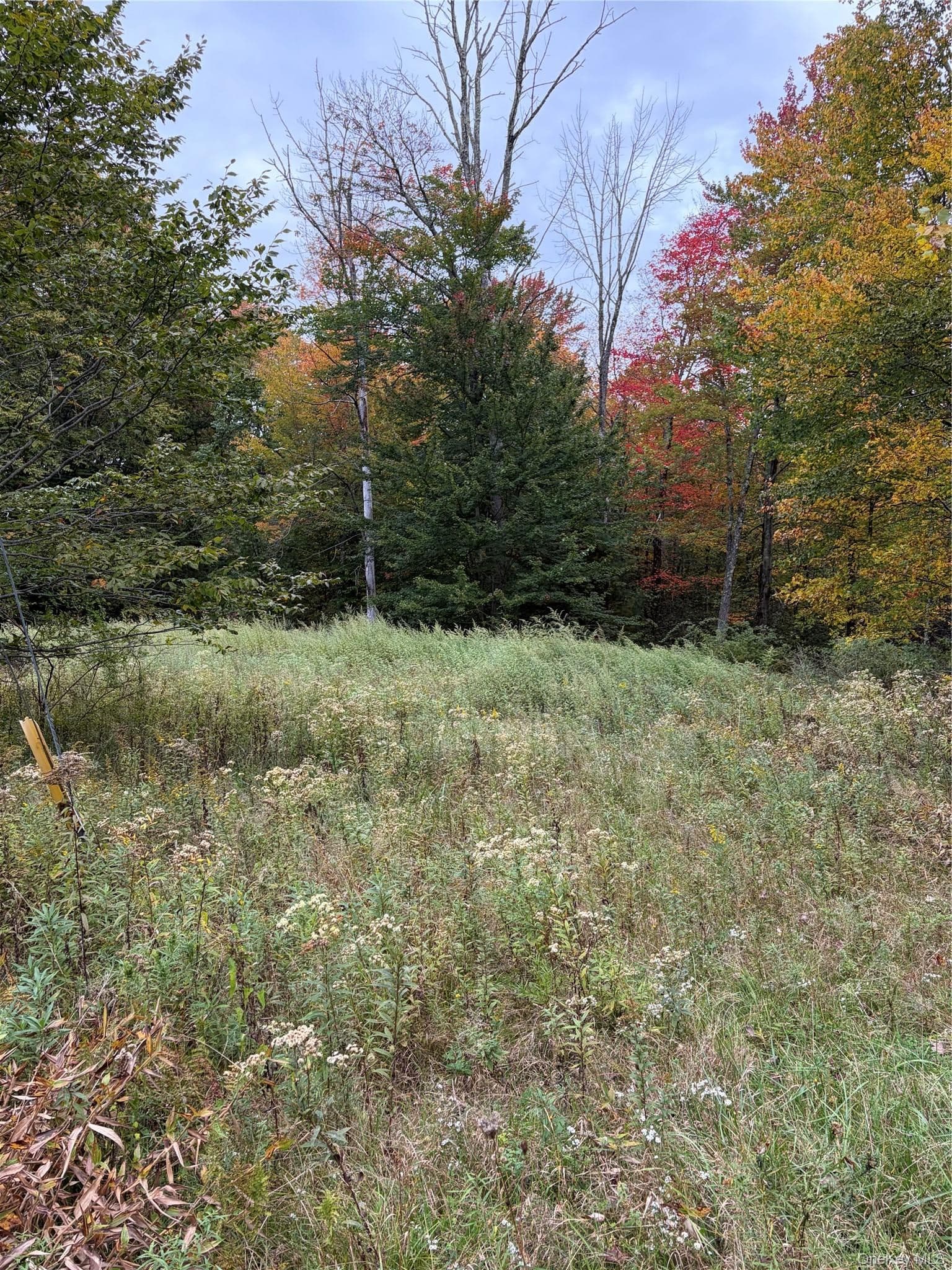 Budd Road thumbnail 2