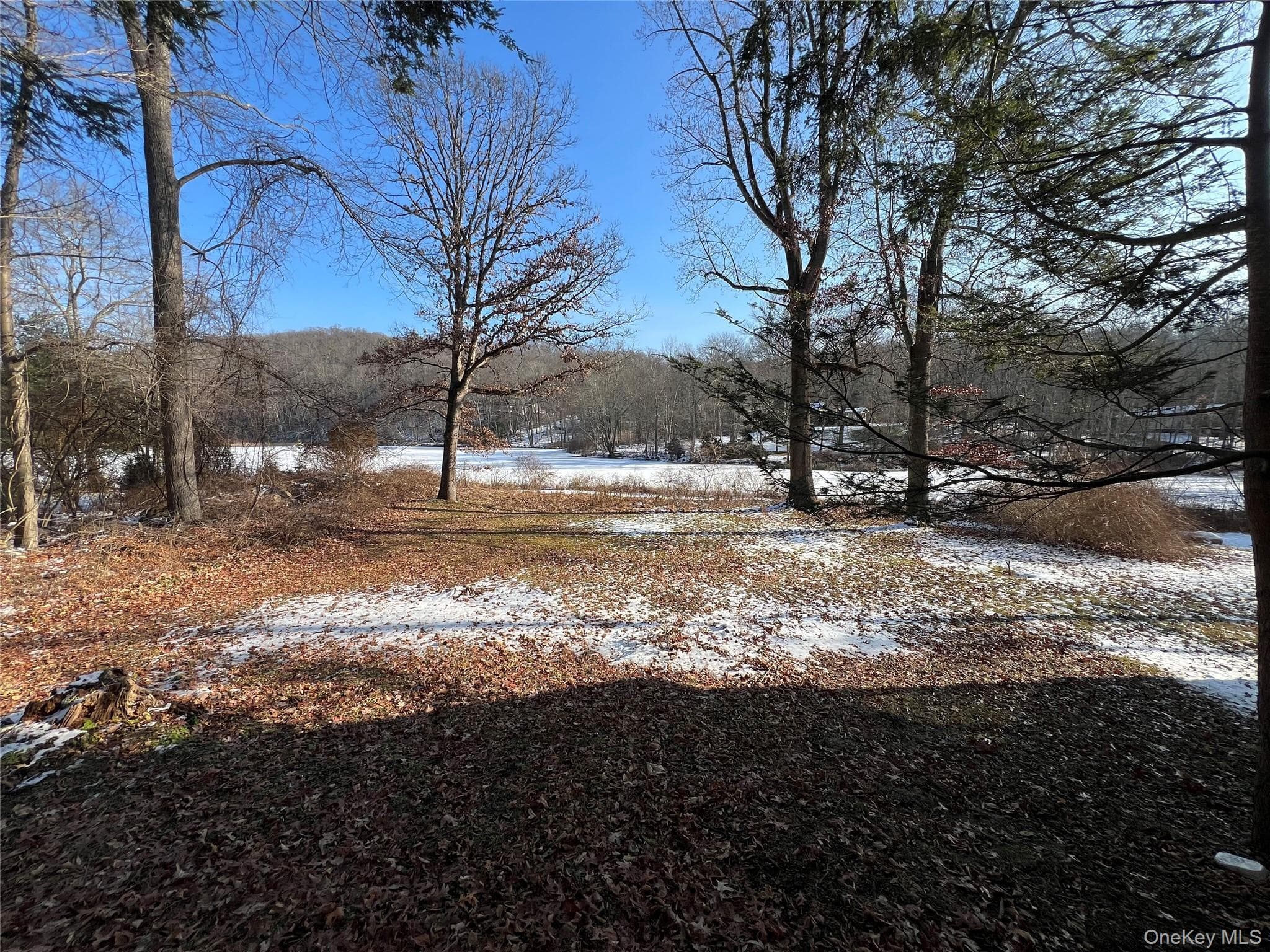 298 Old Albany Post Road thumbnail 5