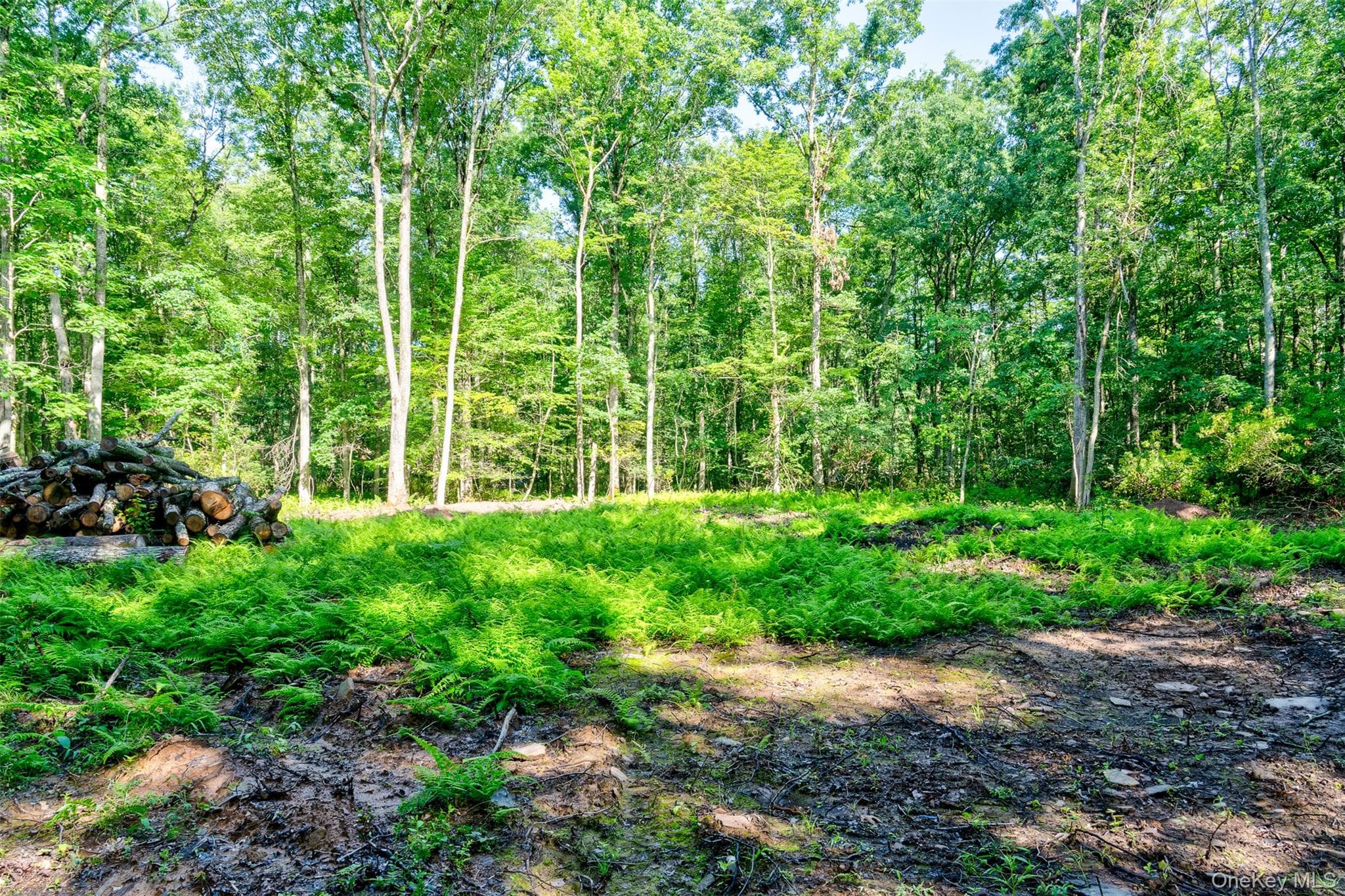 Lot 23 Perry Pond Road thumbnail 4