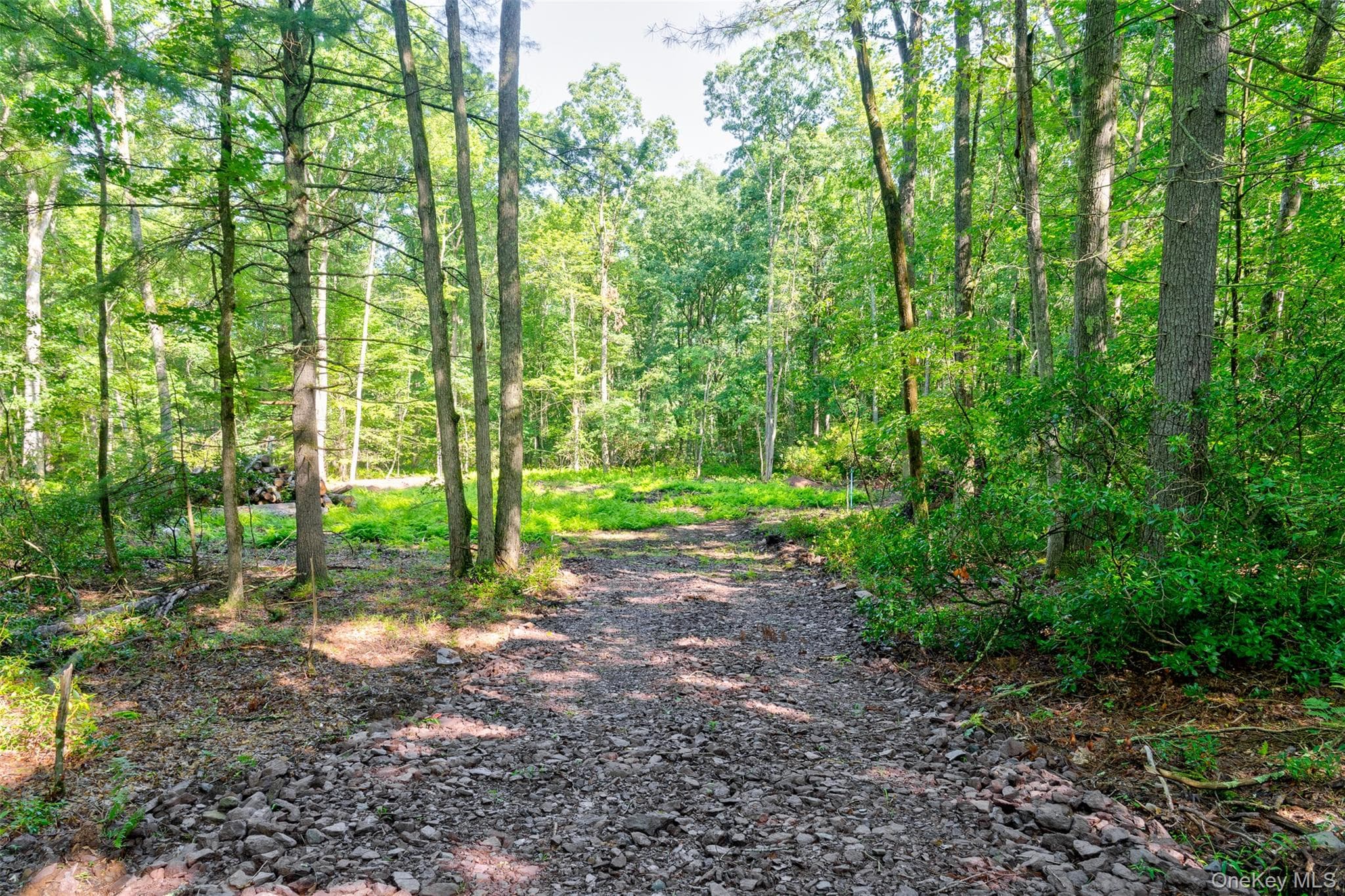 Lot 23 Perry Pond Road thumbnail 3