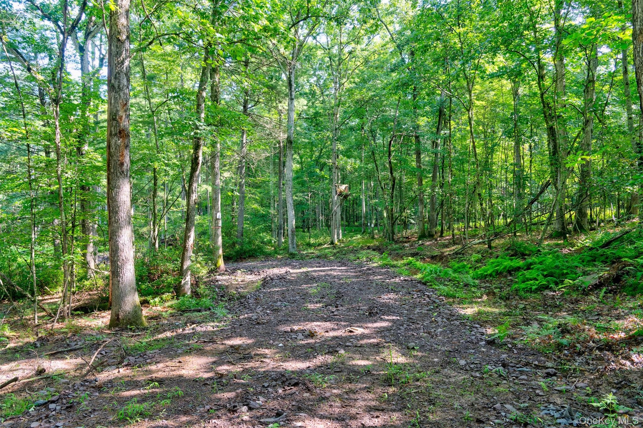 Lot 23 Perry Pond Road, Narrowsburg