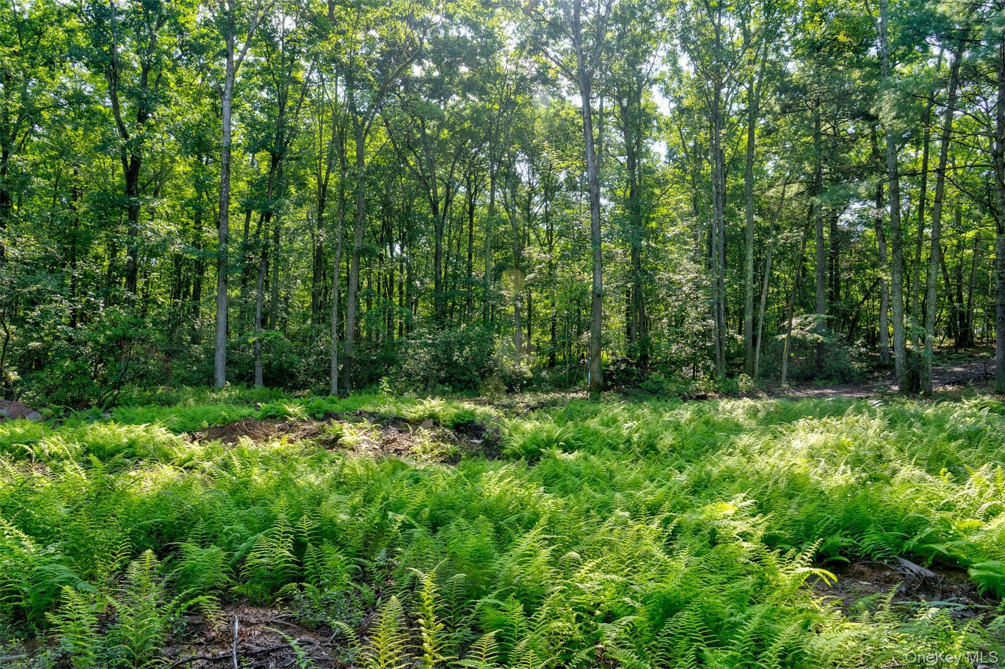 Lot 23 Perry Pond Road thumbnail 12