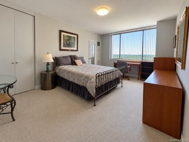 26910 Grand Central Parkway PKWY Unit: 15B thumbnail 14
