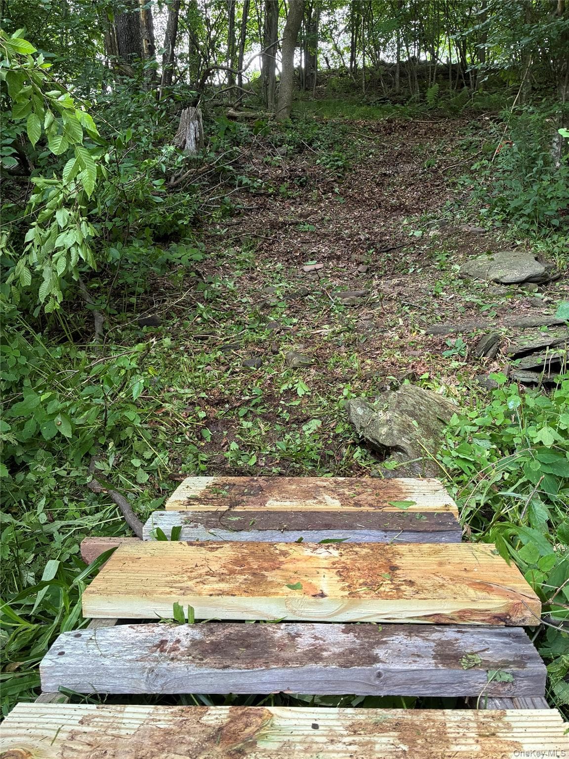 1780 Roses Brook Road thumbnail 44