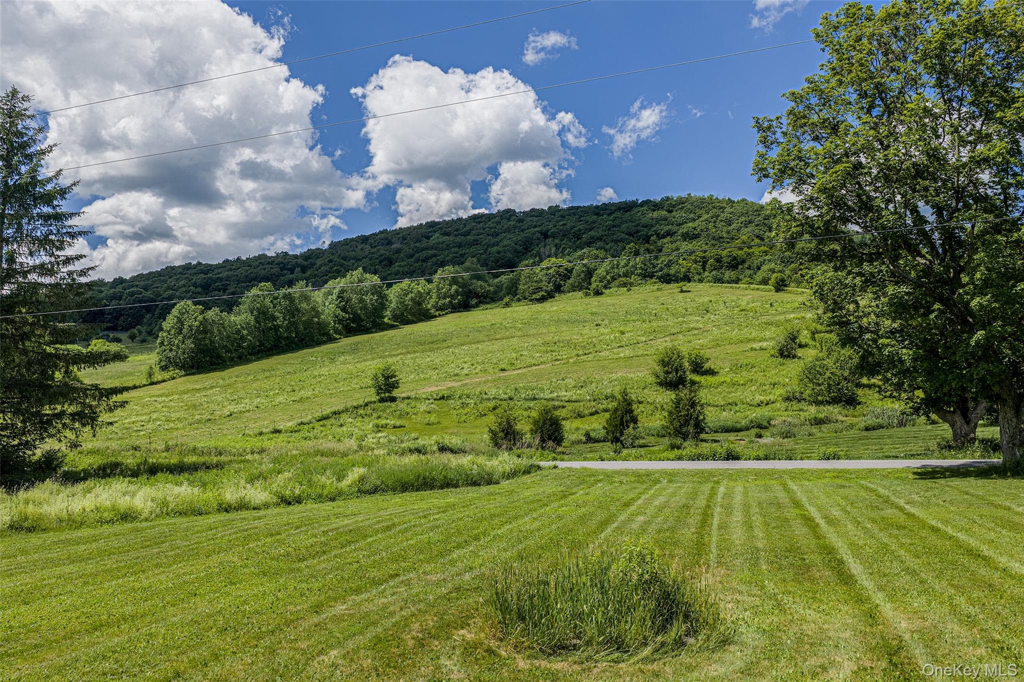 1780 Roses Brook Road thumbnail 35