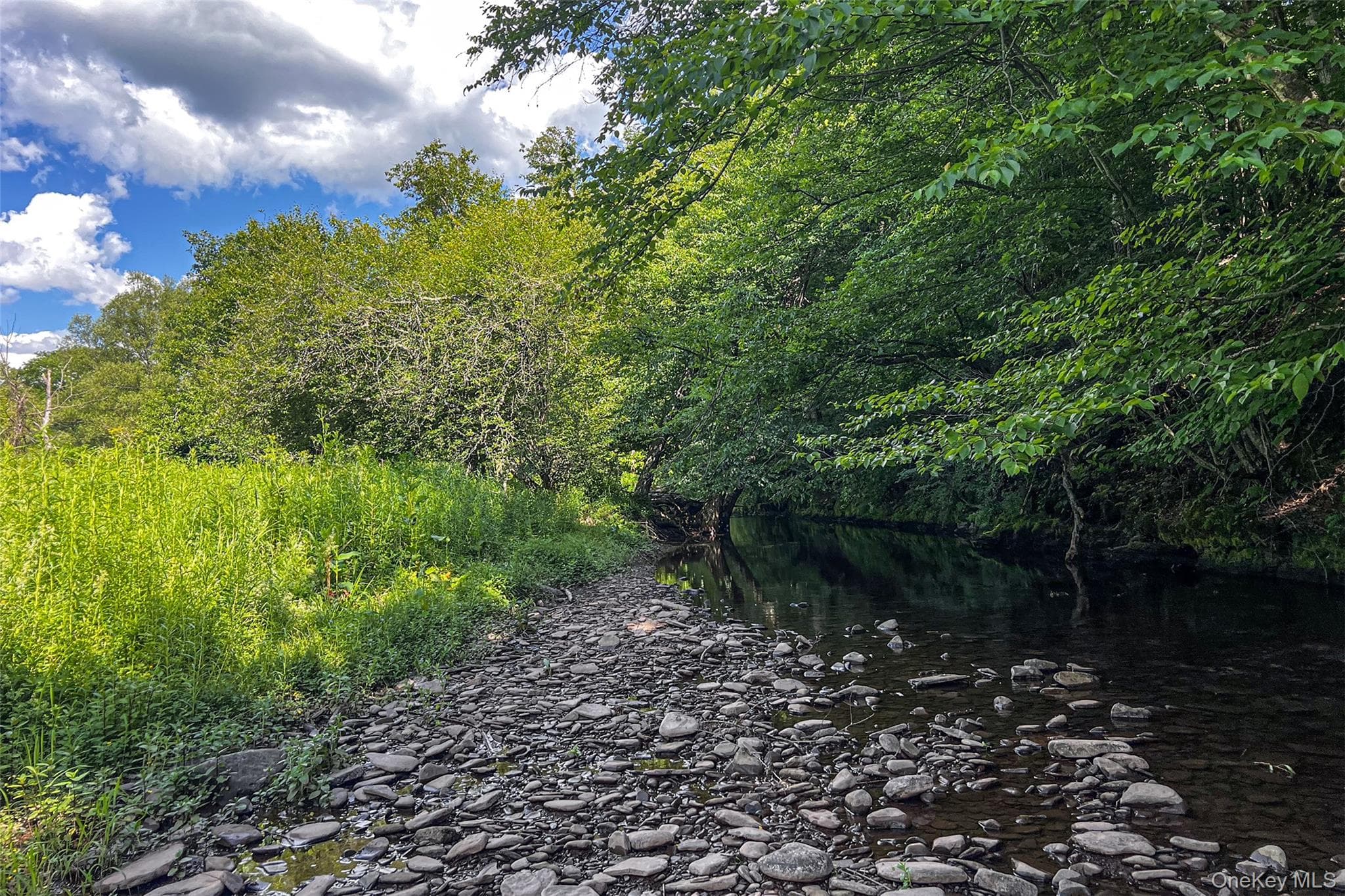 1780 Roses Brook Road thumbnail 40