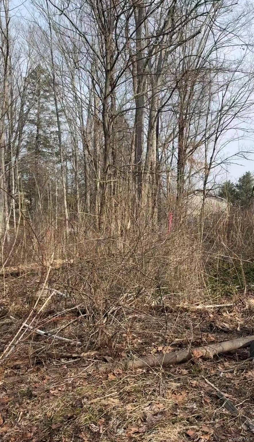 19 & 25 Clearbrook Drive photo 1